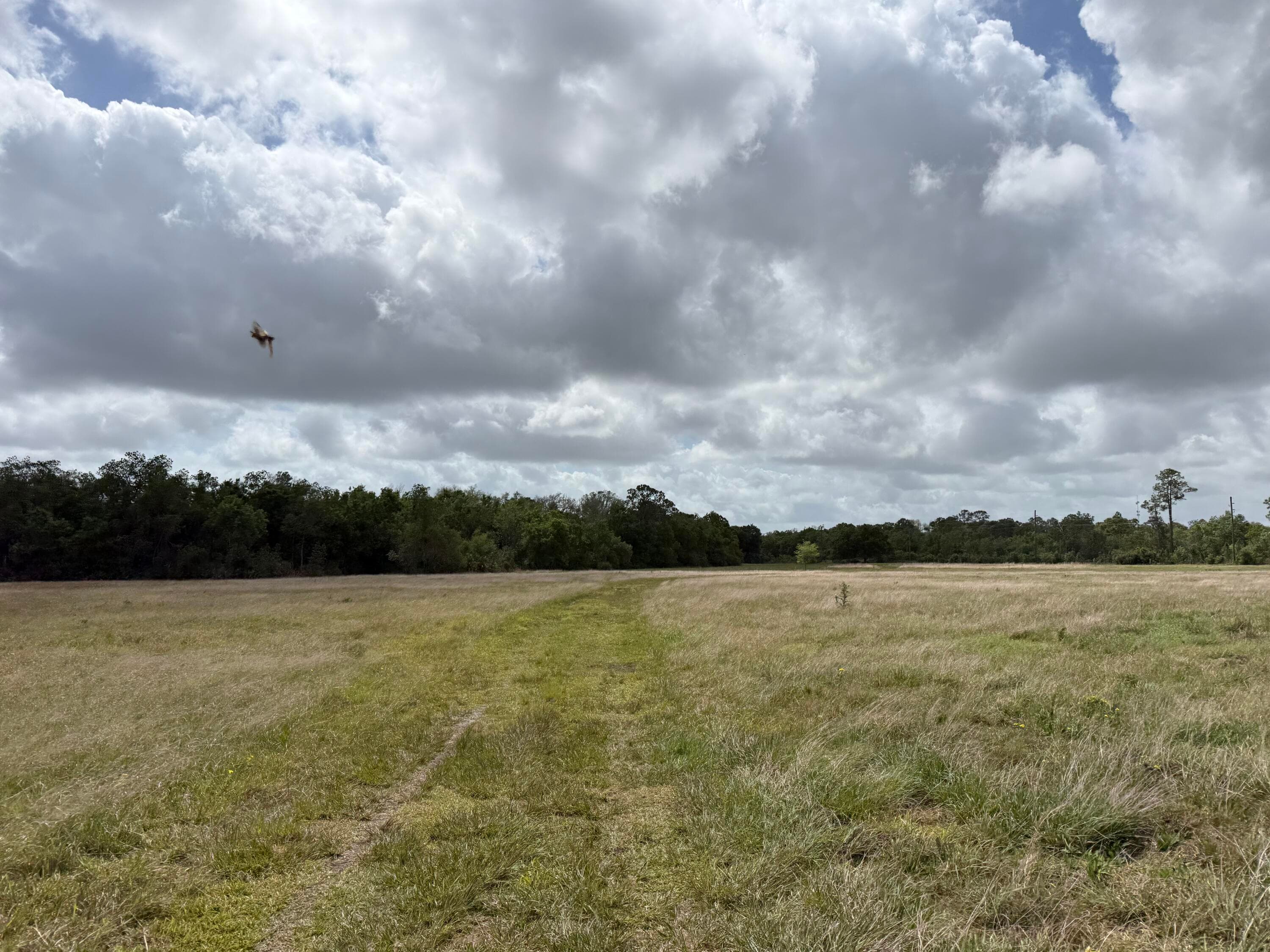 33700 Hwy 441, Okeechobee, FL 34972 — photo 56 of 81