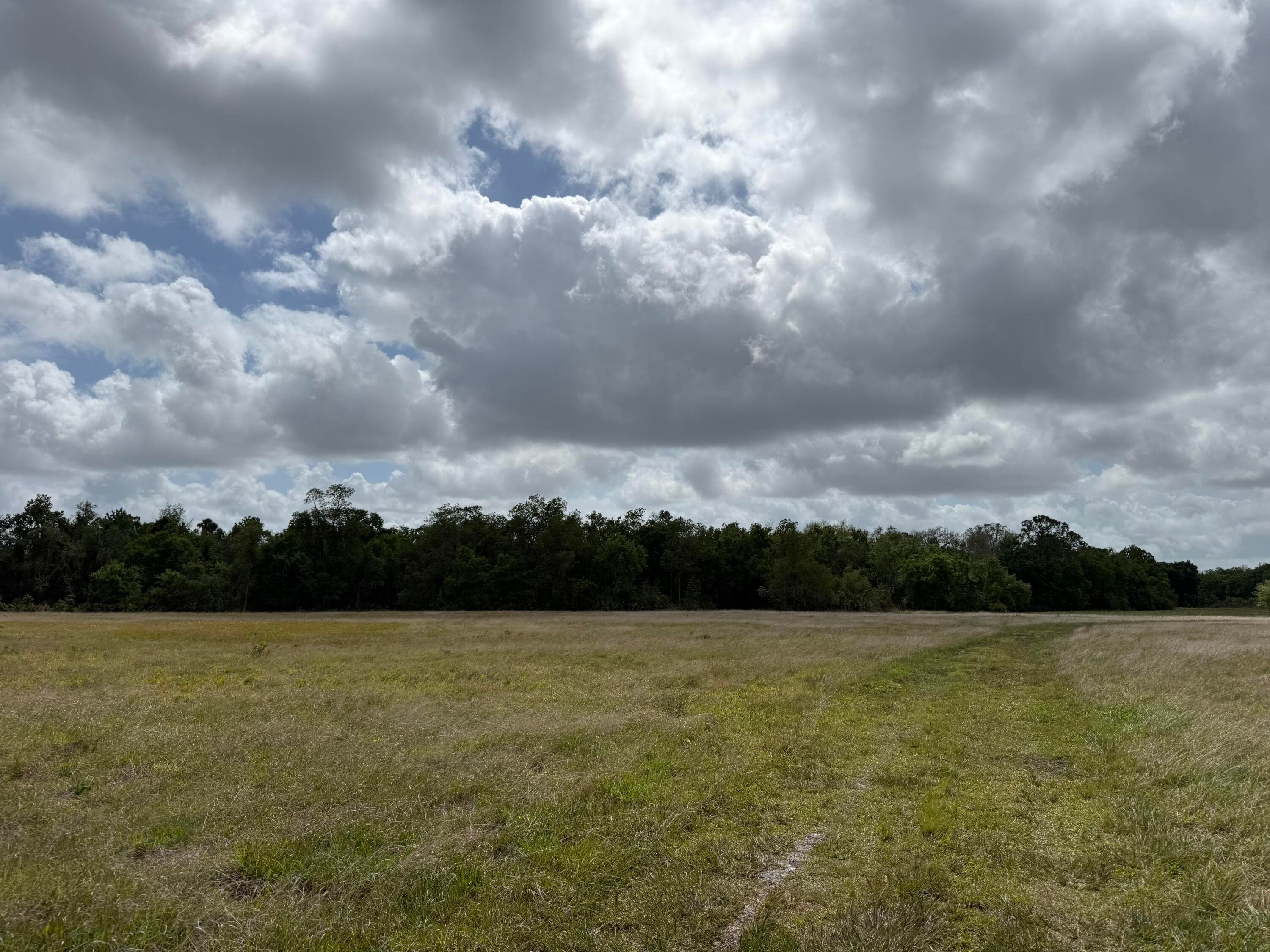 33700 Hwy 441, Okeechobee, FL 34972 — photo 57 of 81