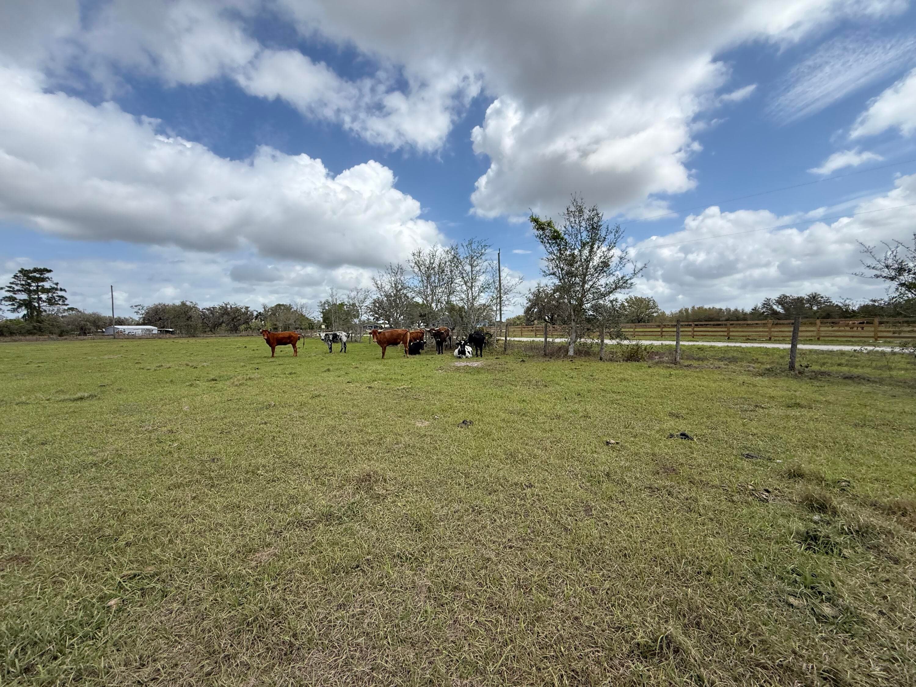 33700 Hwy 441, Okeechobee, FL 34972 — photo 64 of 81