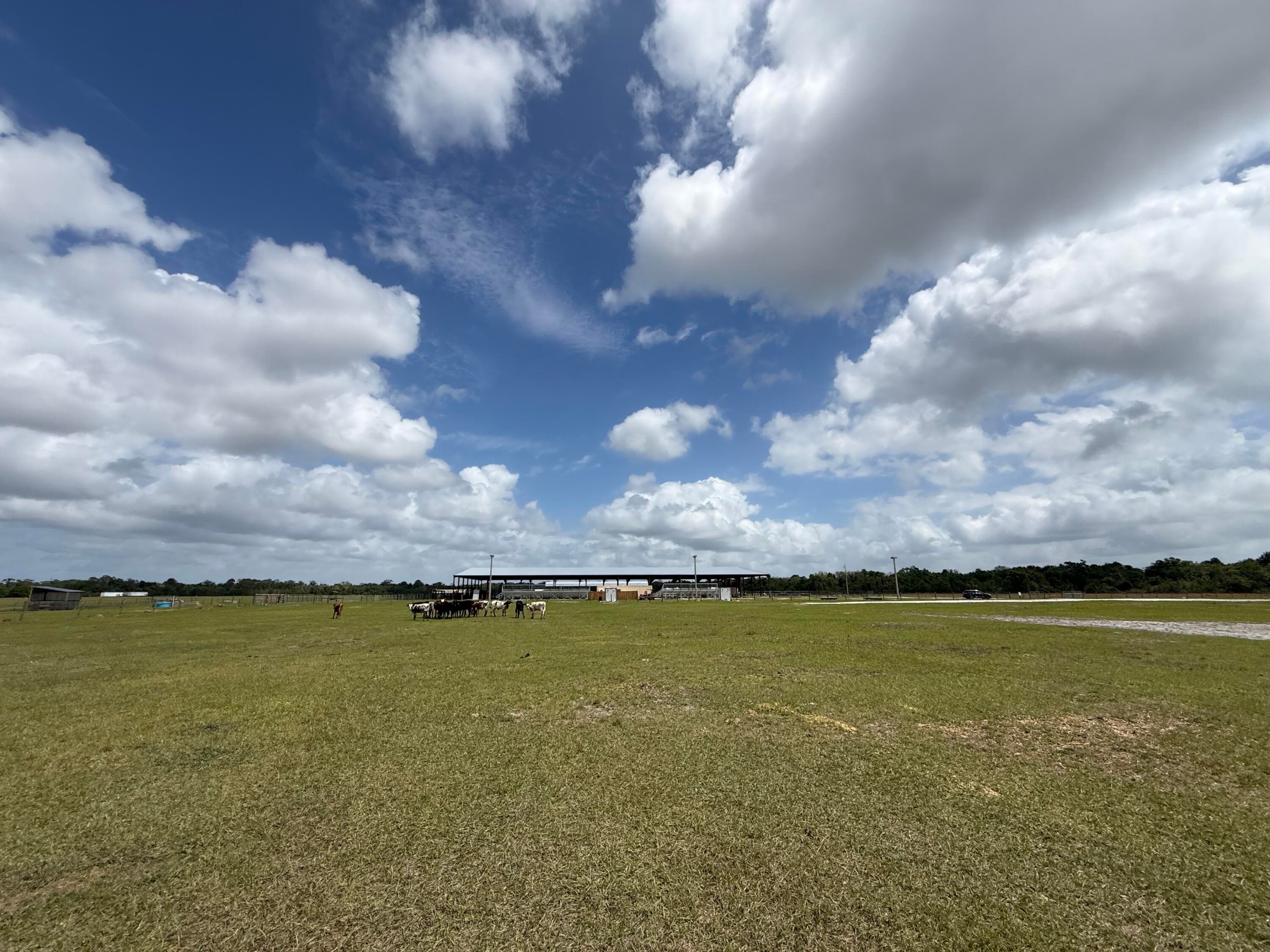 33700 Hwy 441, Okeechobee, FL 34972 — photo 71 of 81
