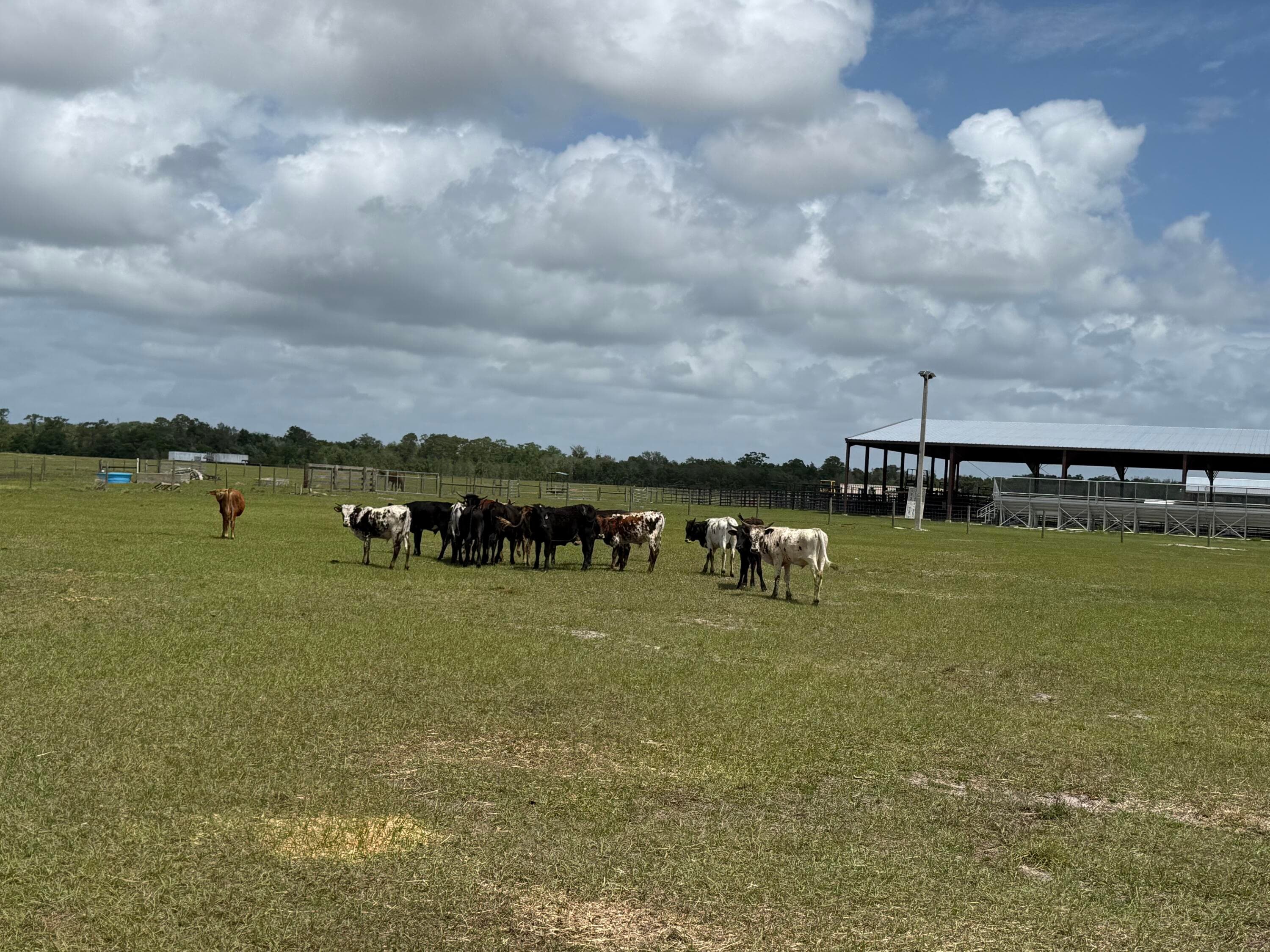 33700 Hwy 441, Okeechobee, FL 34972 — photo 72 of 81