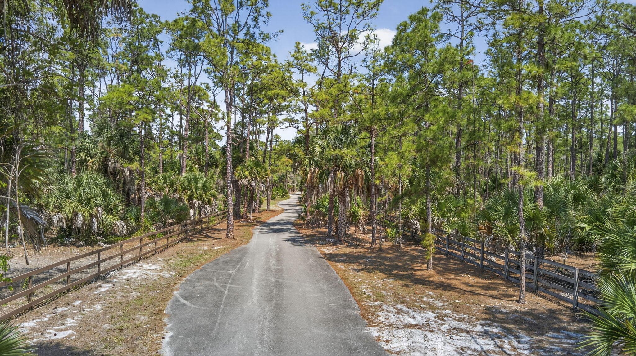 1340 Arabian Drive, Loxahatchee, FL 33470 — photo 3 of 15