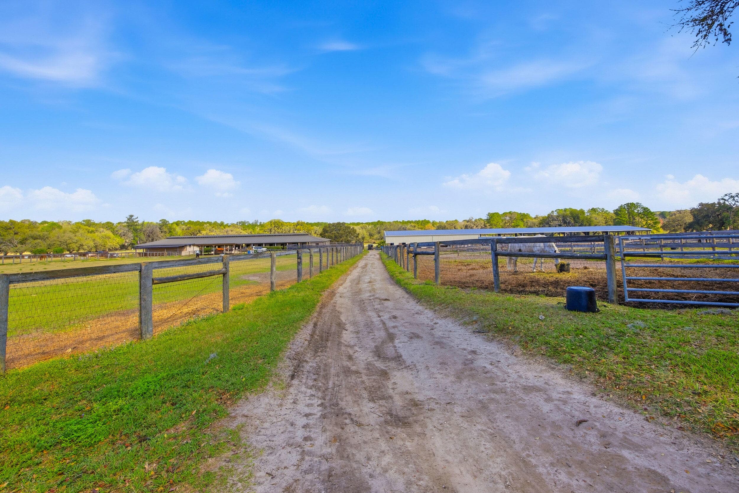 6025 NW 115th Avenue, Ocala, FL 34482 — photo 12 of 62