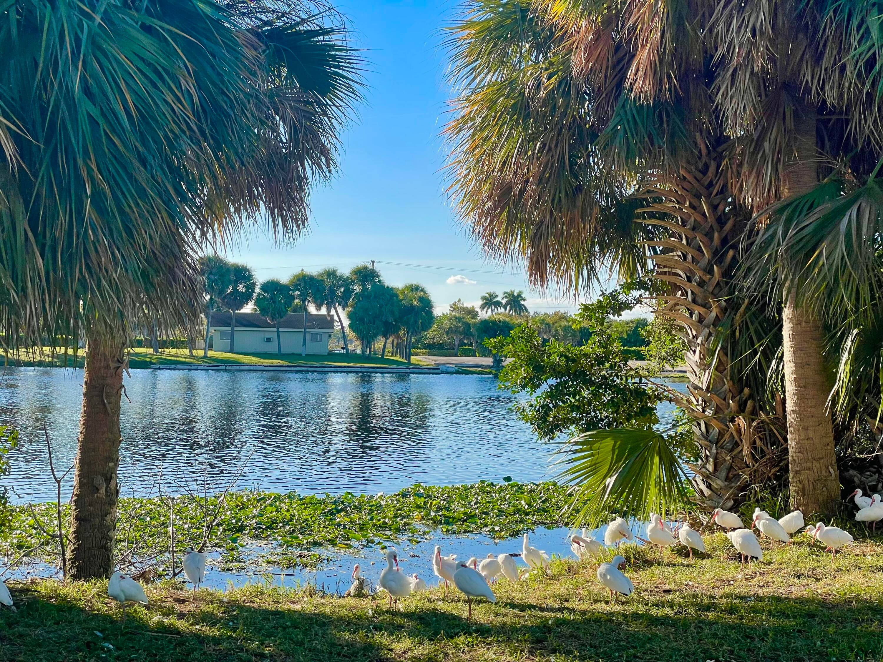 3402 Cynthia Lane 205, Lake Worth Beach, FL 33461 — photo 30 of 30
