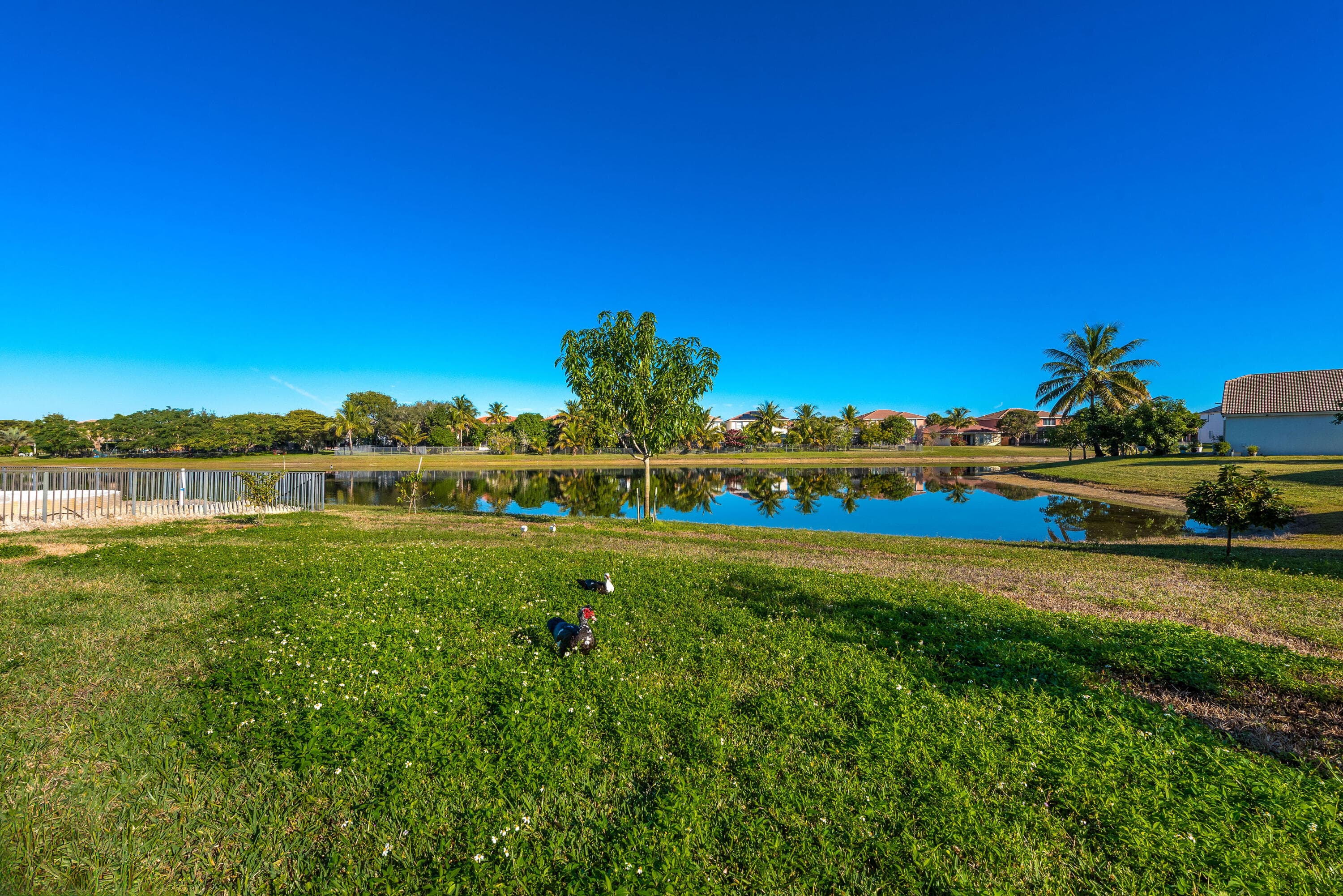 102 Ibisca Terrace, Royal Palm Beach, FL 33411 — photo 40 of 59
