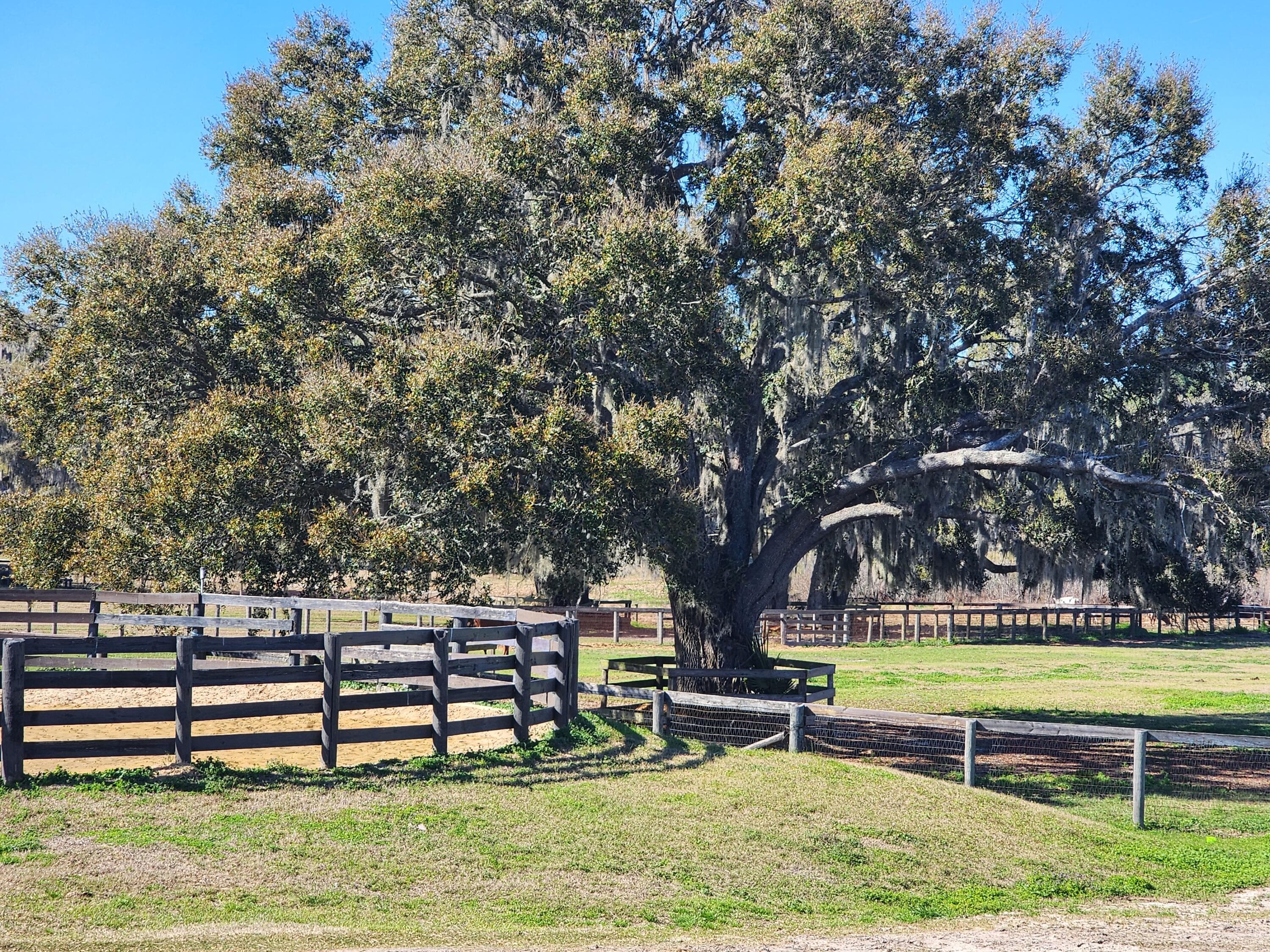6025 NW 115th Avenue, Ocala, FL 34482 — photo 49 of 62