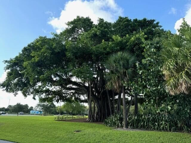 5200 N Flagler Drive 803, West Palm Beach, FL 33407 — photo 46 of 51