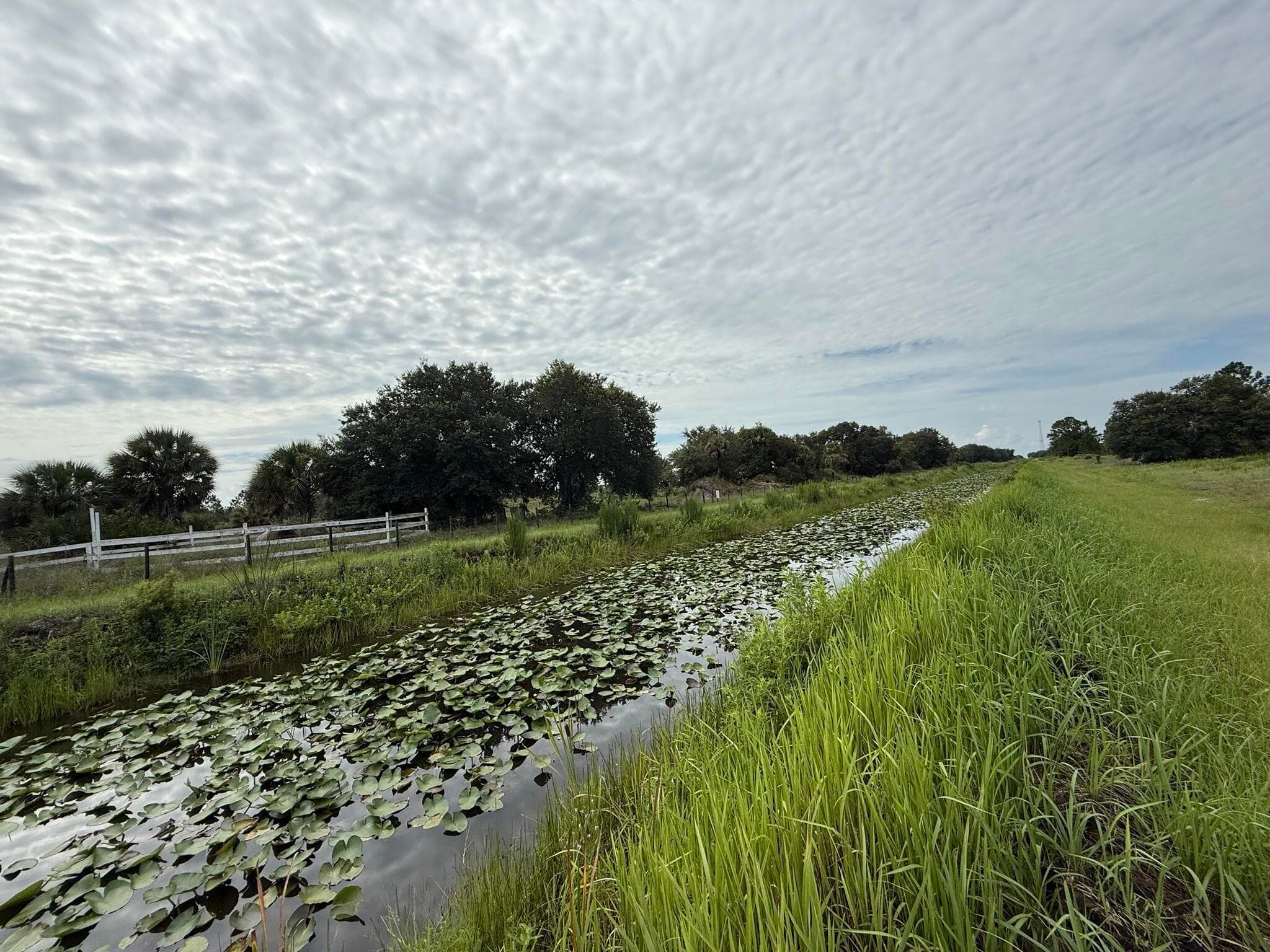 16814 NW 296th Street, Okeechobee, FL 34972 — photo 3 of 8