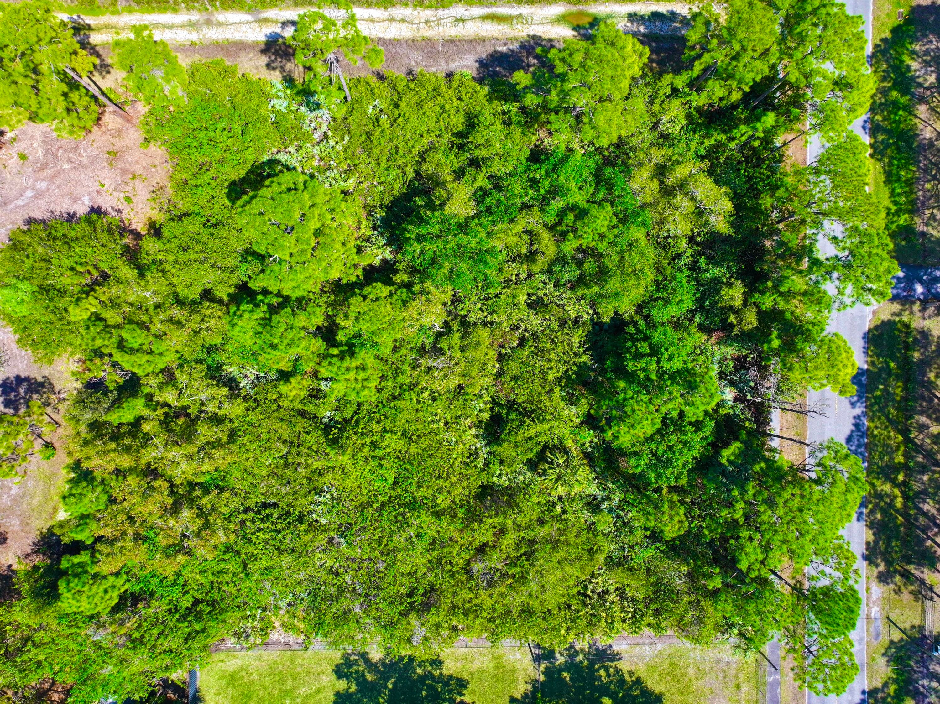17771 Key Lime Boulevard, The Acreage, FL 33470 — photo 8 of 12