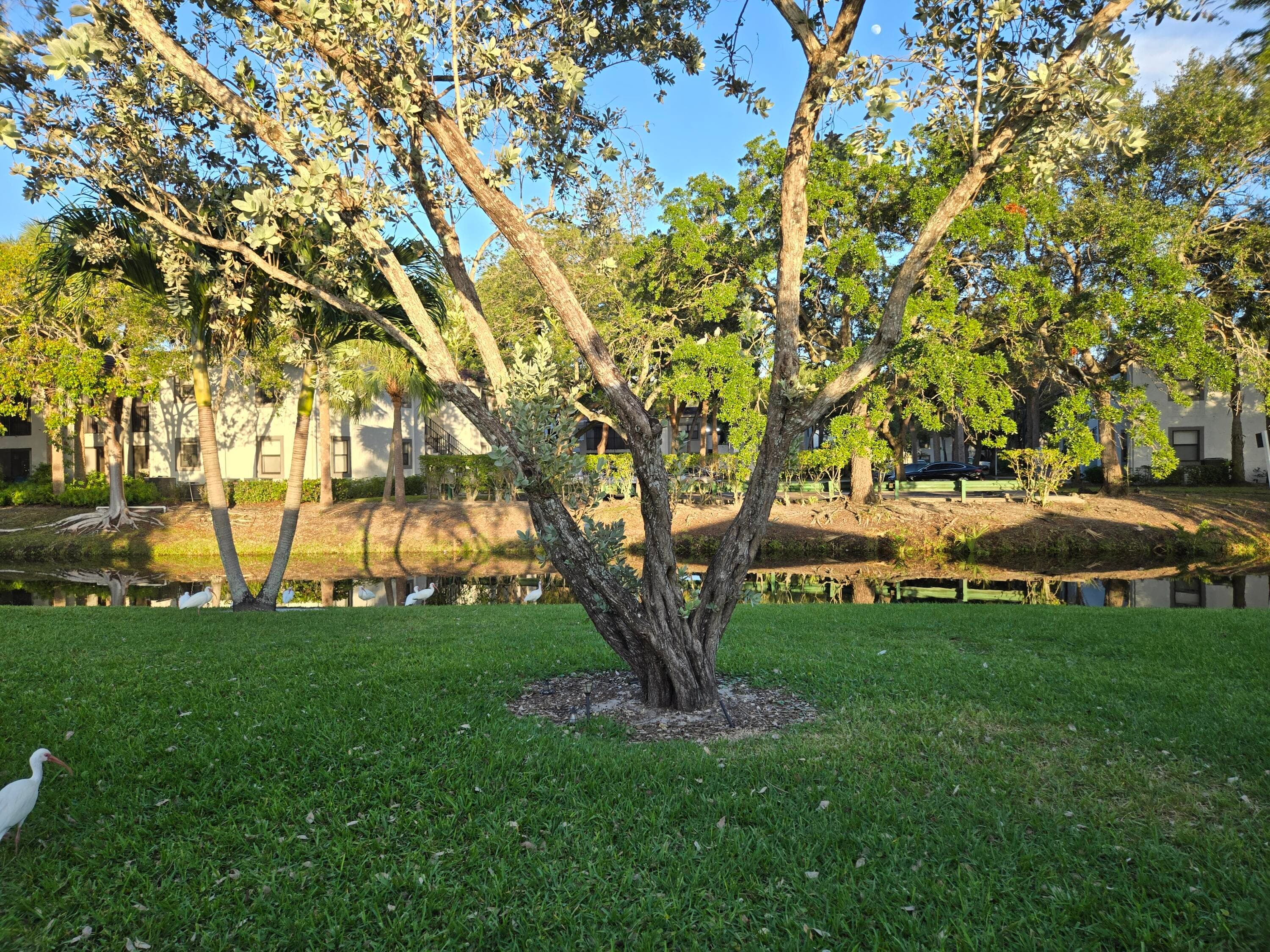 1320 NW 82nd Avenue, Plantation, FL 33322 — photo 2 of 10