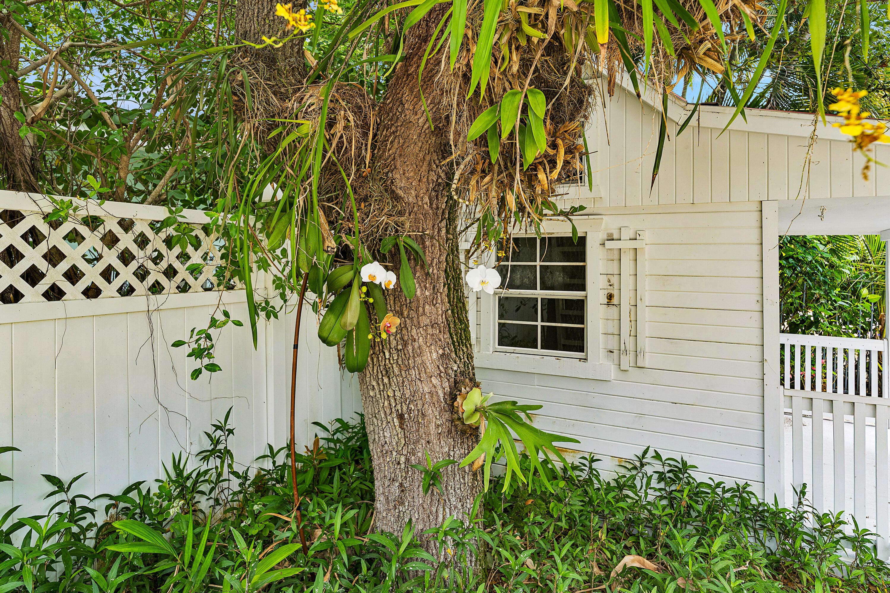 210 Merrain Road, Palm Beach, FL 33480 — photo 9 of 33