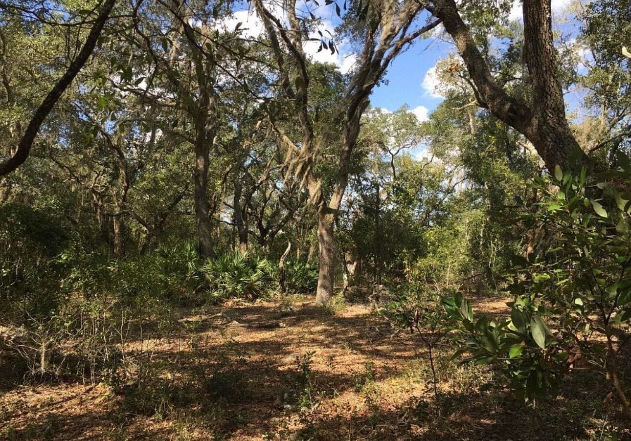 8922 E Gulf To Lake Highway, Inverness, FL 34450 — photo
