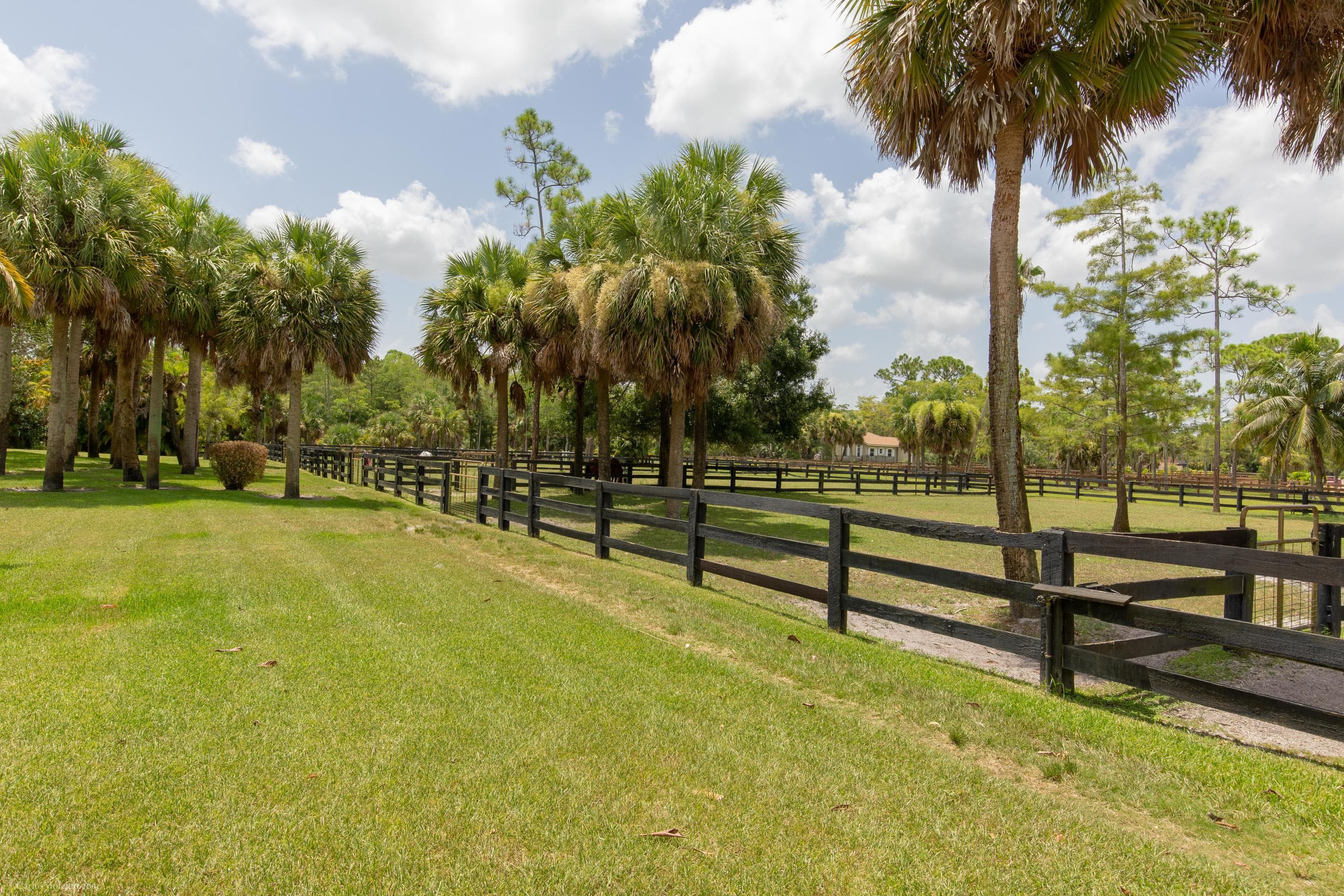 1321 Pelham Road, Wellington, FL 33414 — photo 3 of 34