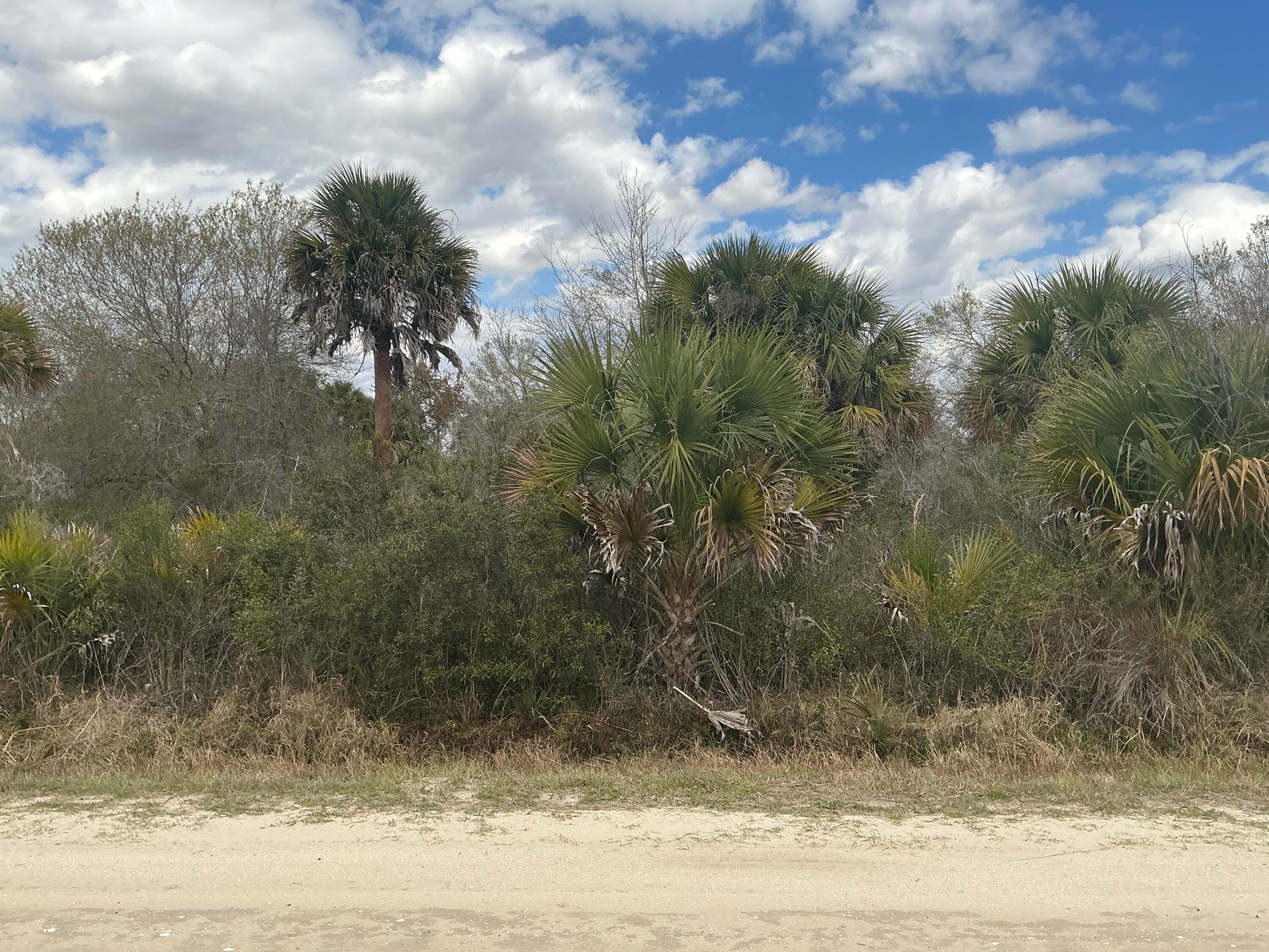 20639 NW 300th Street, Okeechobee, FL 34972 — photo 1 of 6
