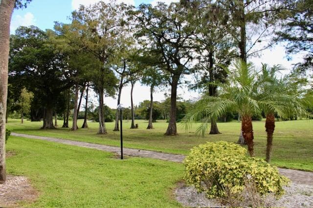 6080 NW 44th Street 205, Lauderhill, FL 33319 — photo 18 of 19