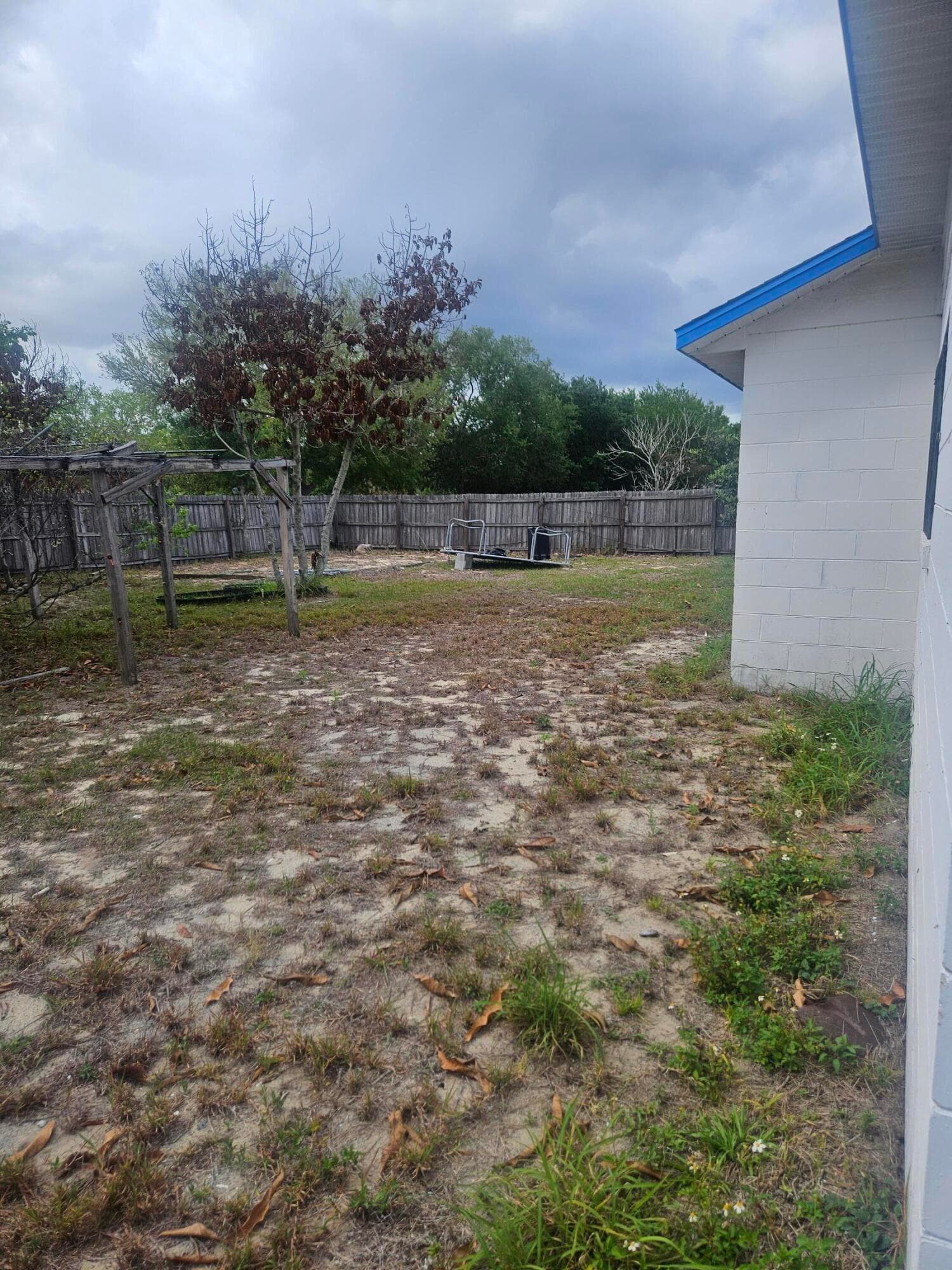 1768 Torrey Drive, Orlando, FL 32818 — photo 5 of 5