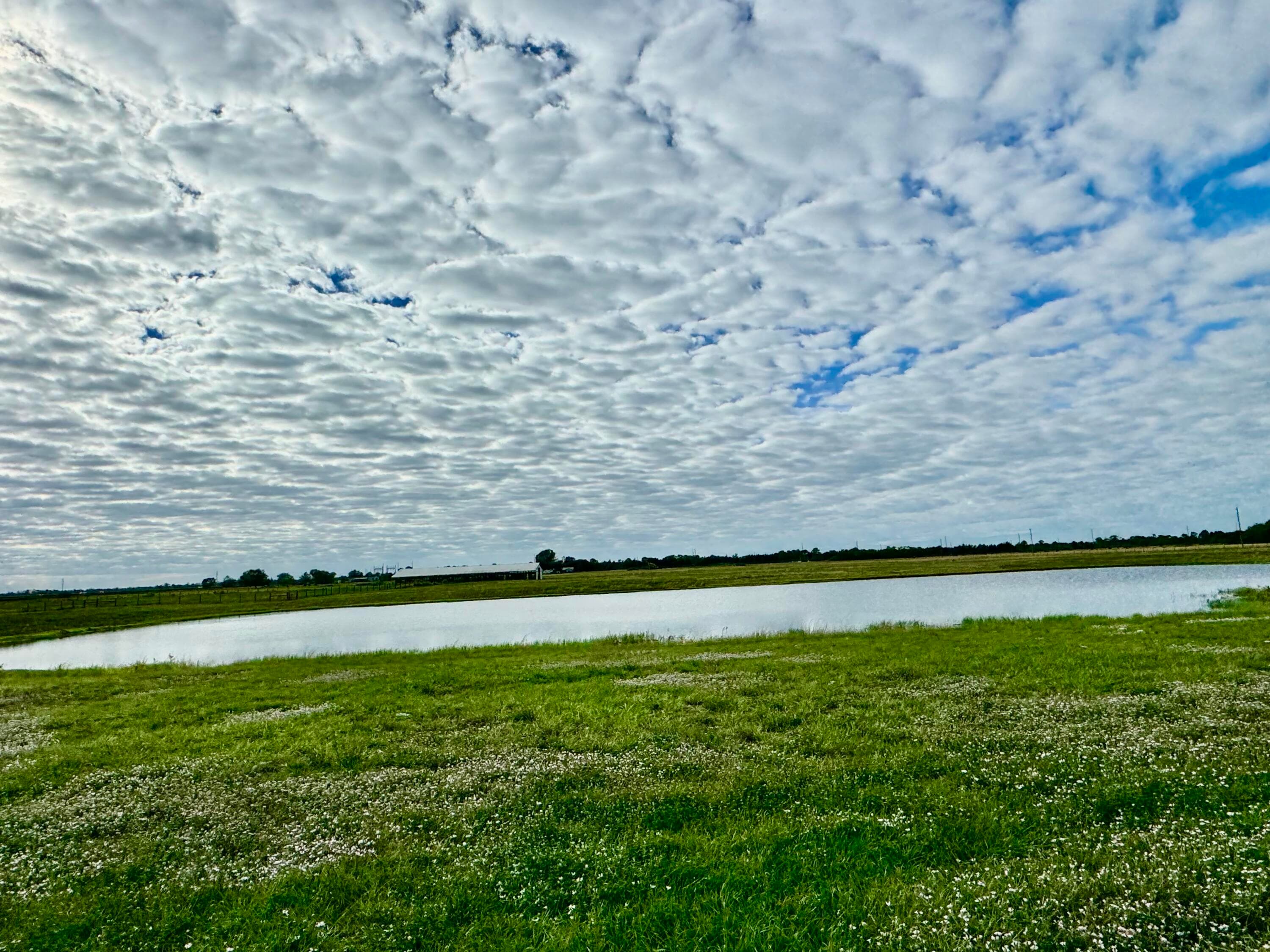14151 E Center Street, Okeechobee, FL 34974 — photo 3 of 16