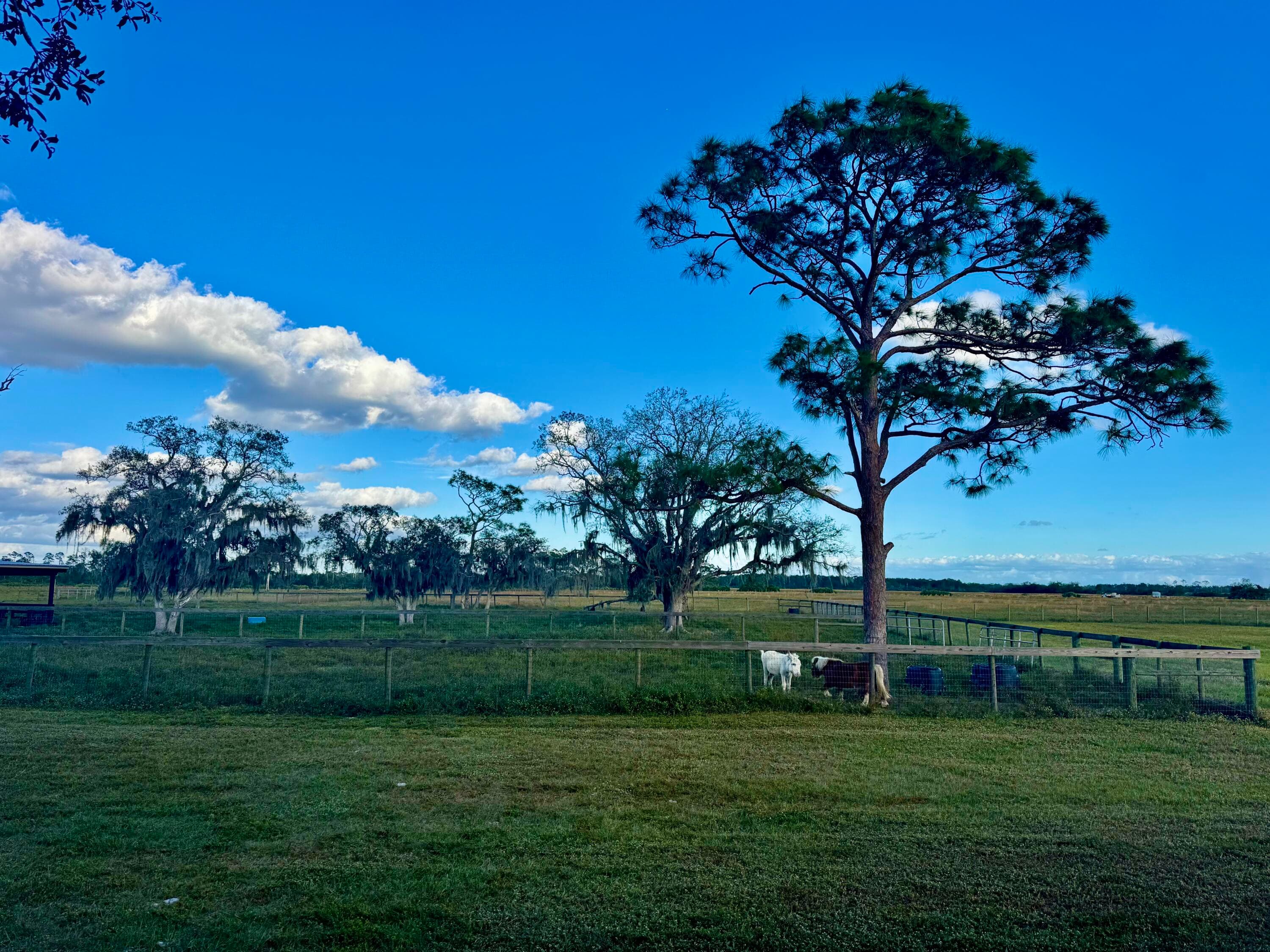 14151 E Center Street, Okeechobee, FL 34974 — photo 15 of 16