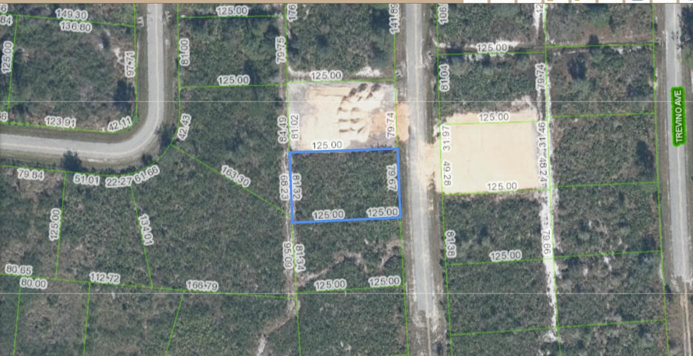 4925 Fettuccine Avenue, Sebring, FL 33872 — photo 3 of 5