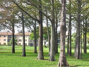 7900 NW 50th Street #304, Lauderhill, FL 33351 — photo 20 of 20