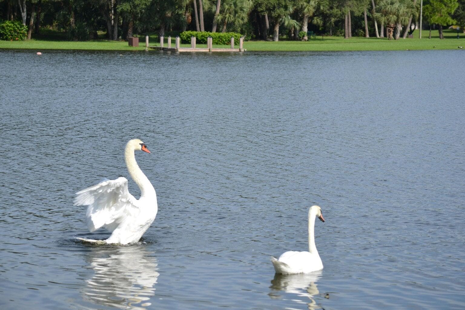 3190 Leewood Terrace L203, Boca Raton, FL 33431 — photo 31 of 35