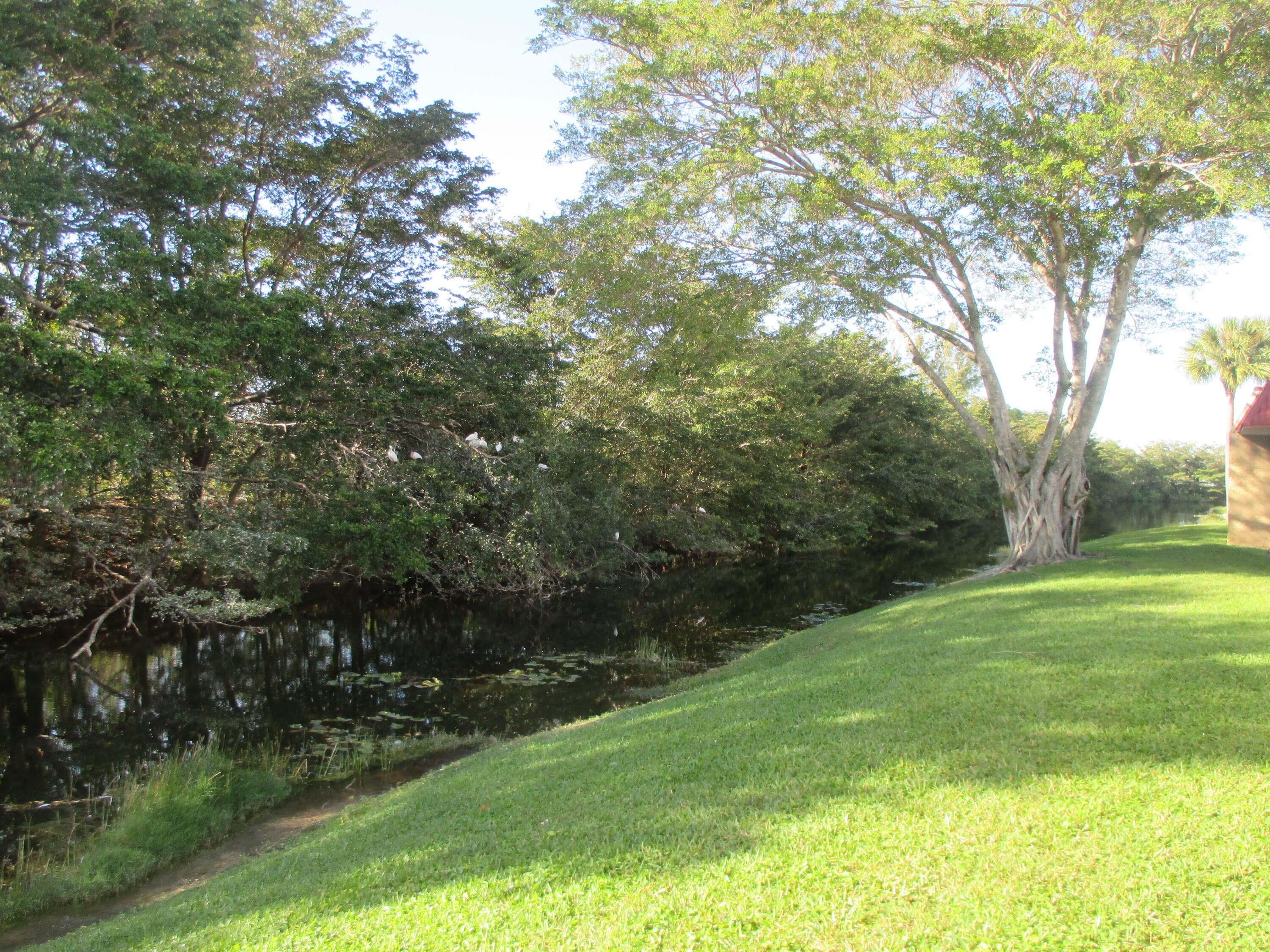 200 Lake Carol Drive, West Palm Beach, FL 33411 — photo 19 of 39