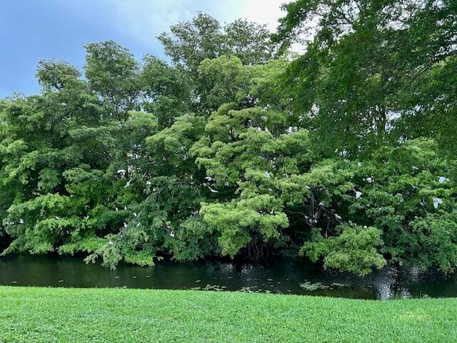200 Lake Carol Drive, West Palm Beach, FL 33411 — photo 20 of 39