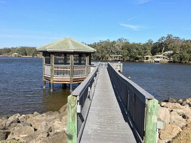 41 Riverview Bend N, Palm Coast, FL 32137 — photo 63 of 80