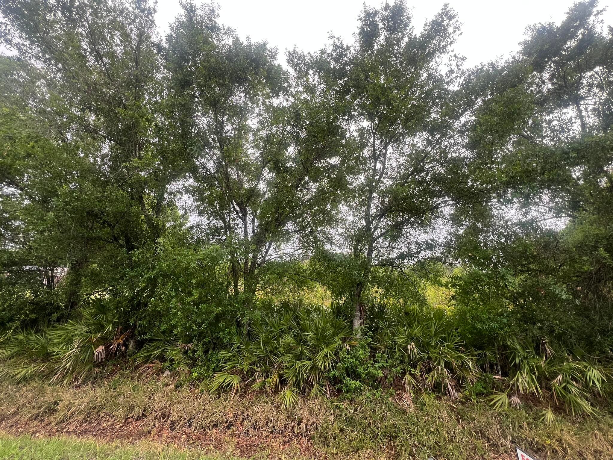 3347 NW 17th Avenue, Okeechobee, FL 34972 — photo 1 of 1