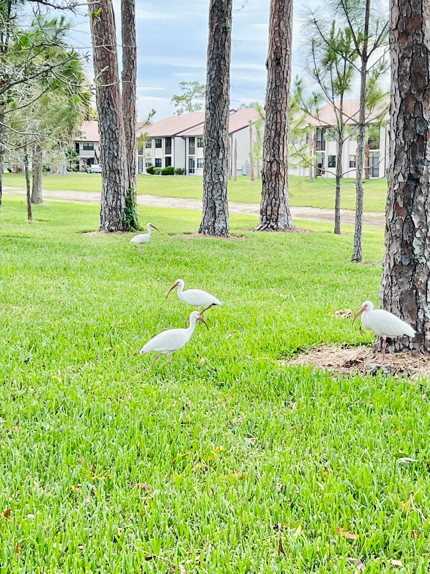 4725 E Lucerne Lakes Blvd Boulevard E 311, Lake Worth, FL 33467 — photo 28 of 28