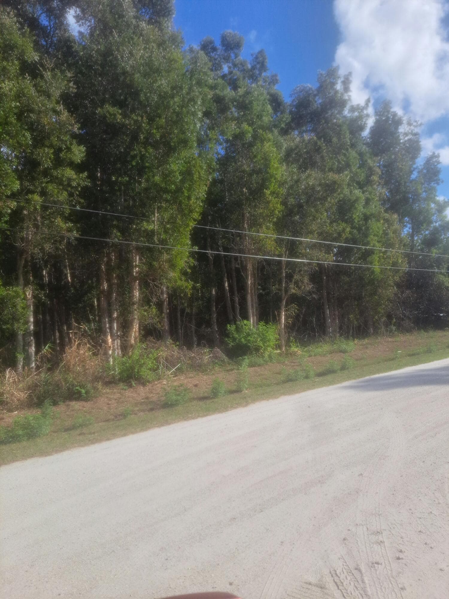 14845 62nd Court N, The Acreage, FL 33470 — photo 1 of 2