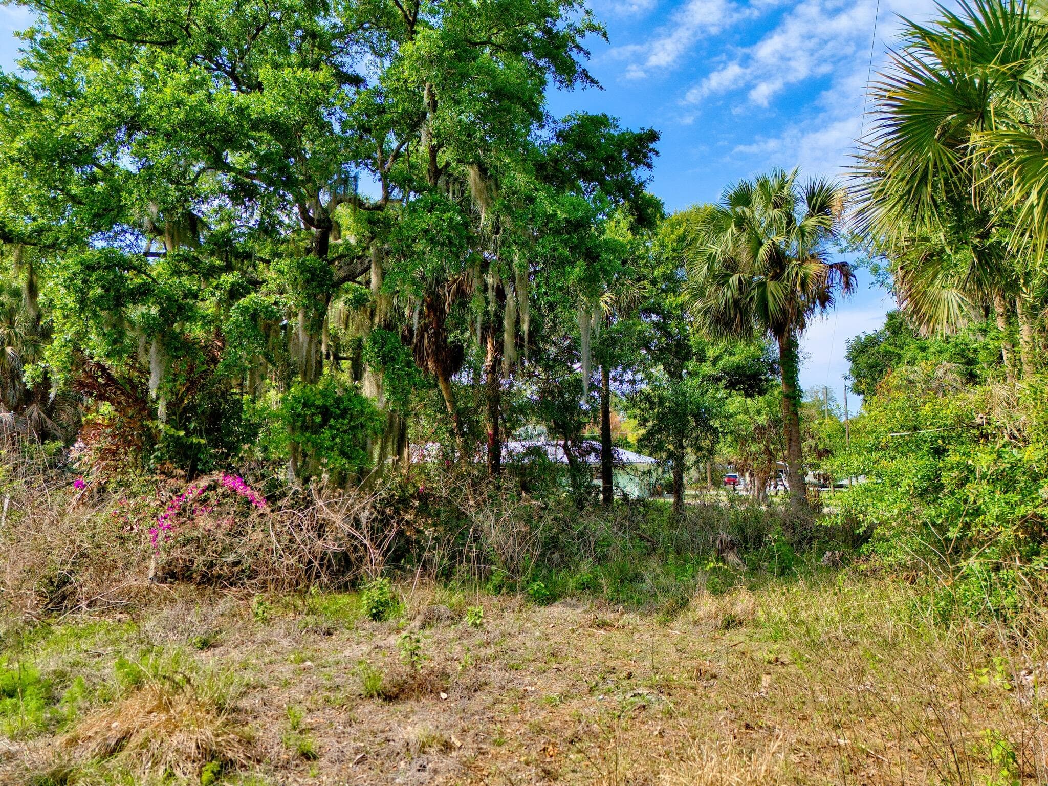 1202 Australian Avenue, Fort Pierce, FL 34982 — photo 3 of 12