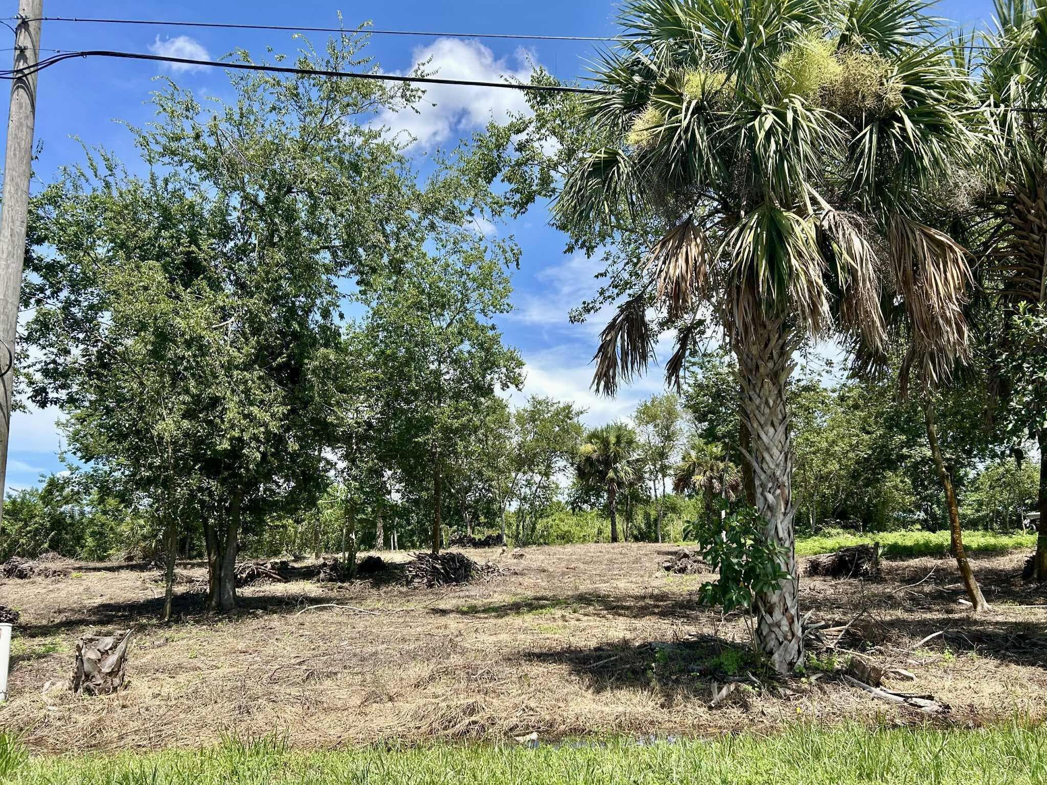 1170 Foxmoor Street, Moore Haven, FL 33471 — photo 1 of 3