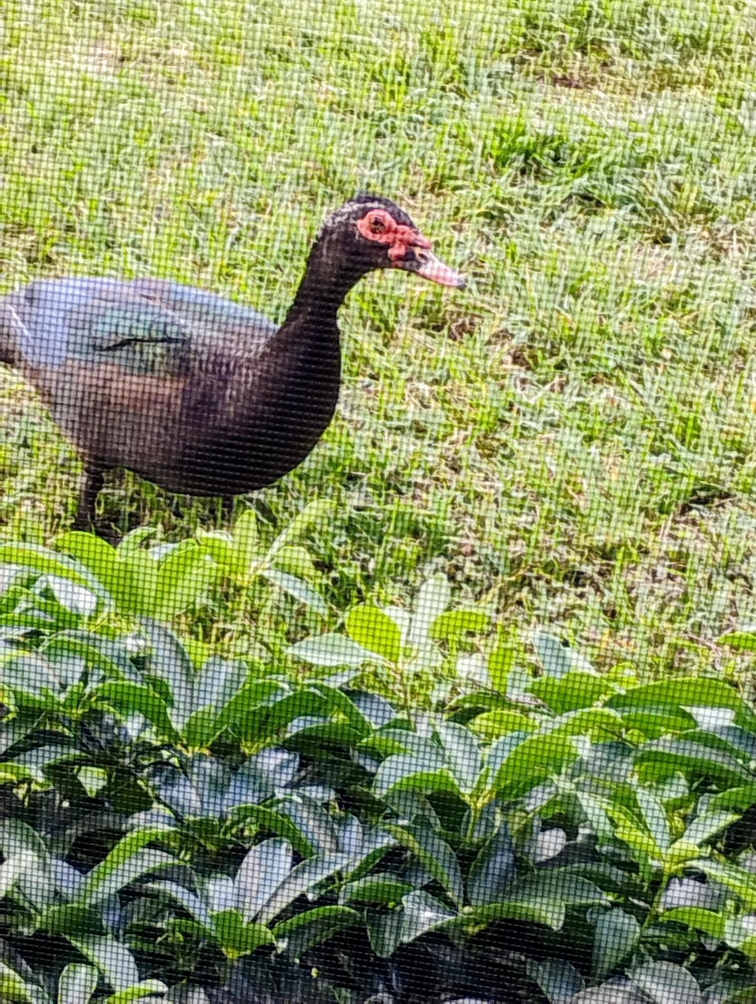 192 Monaco D, Delray Beach, FL 33446 — photo 8 of 76