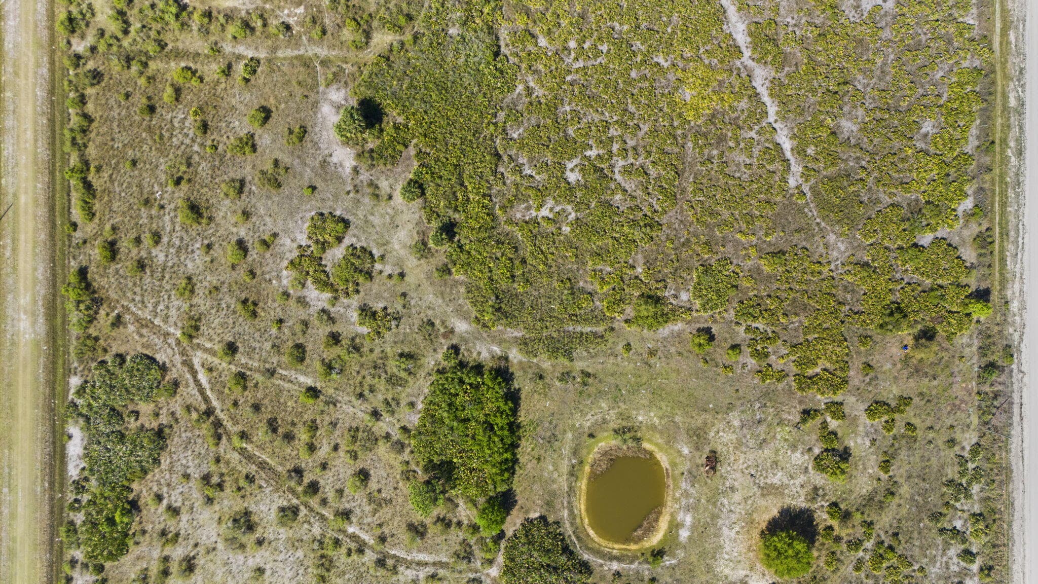 19050 NW 256th Street, Okeechobee, FL 34972 — photo 3 of 19