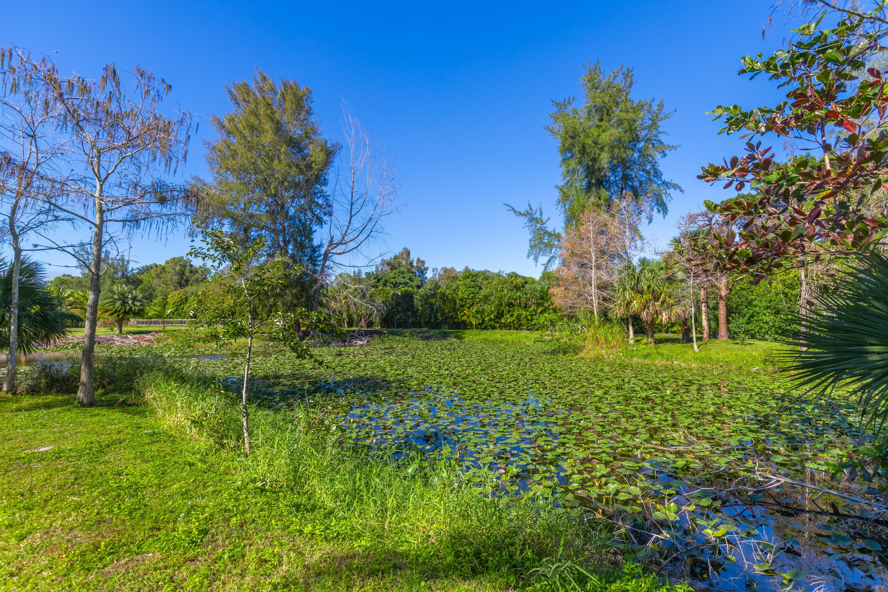 2943 B Road, Loxahatchee Groves, FL 33470 — photo 77 of 88