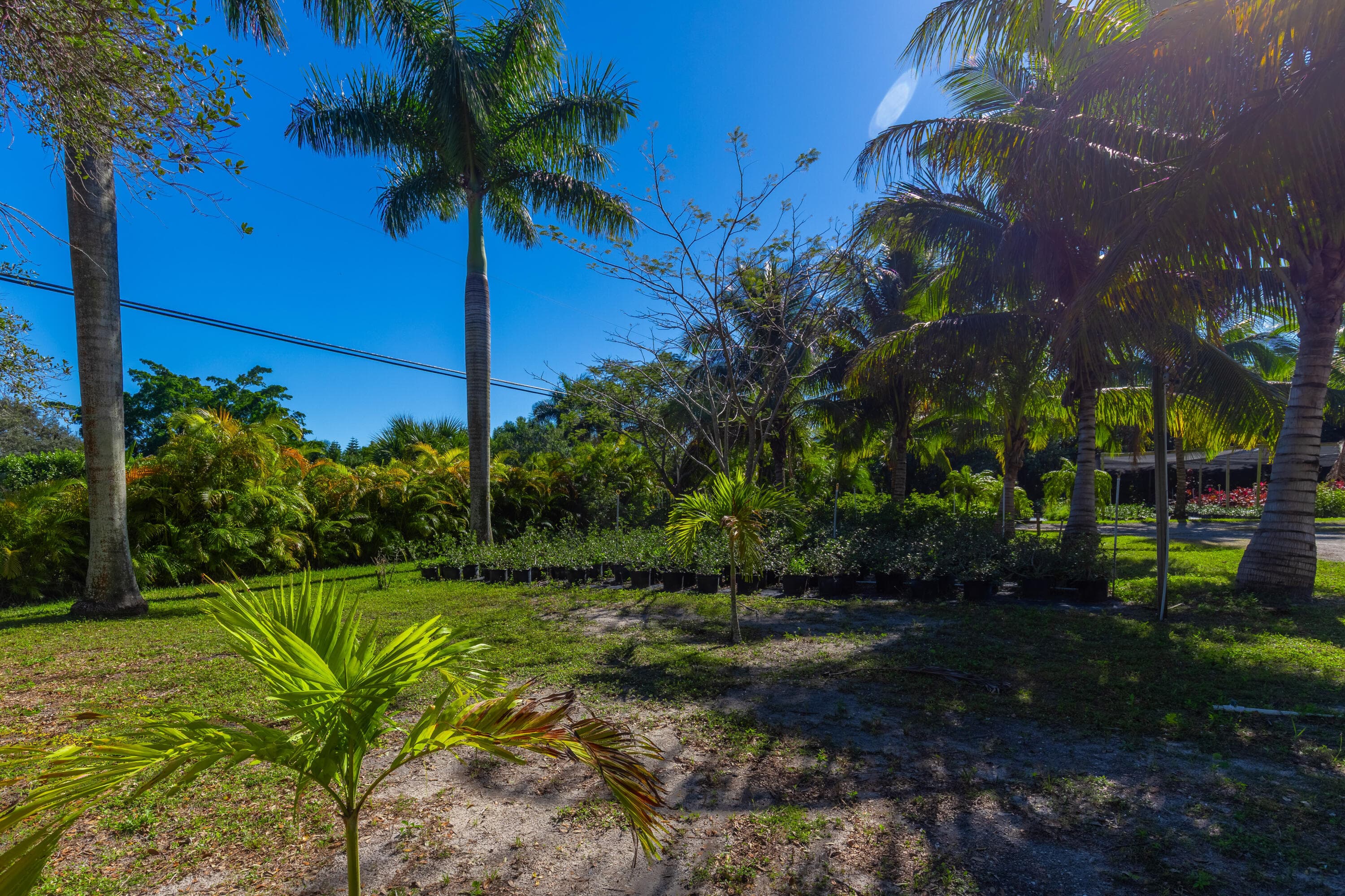 2943 B Road, Loxahatchee Groves, FL 33470 — photo 82 of 88