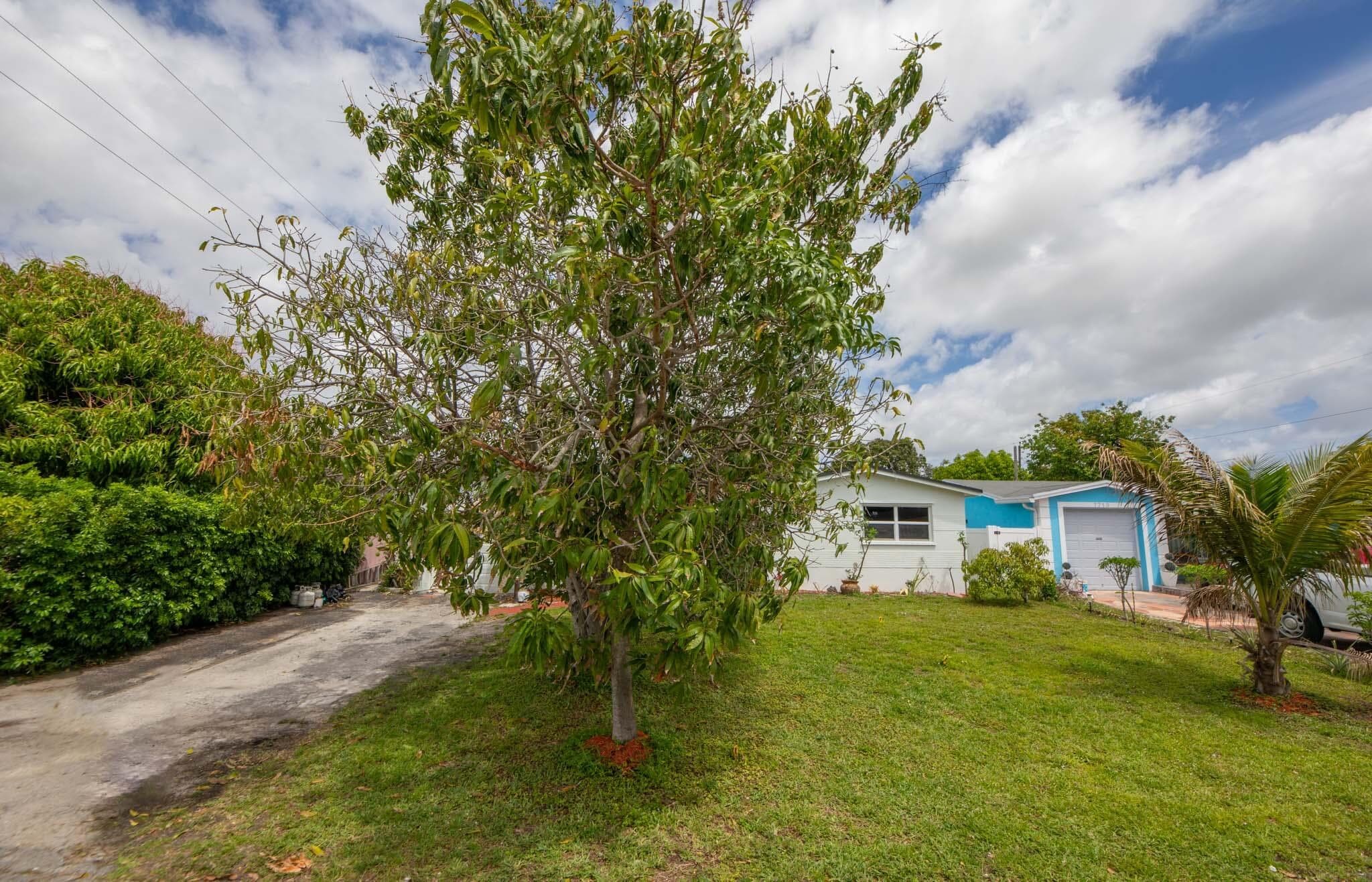 Single Family Residence in Miramar — photo 5 of 37