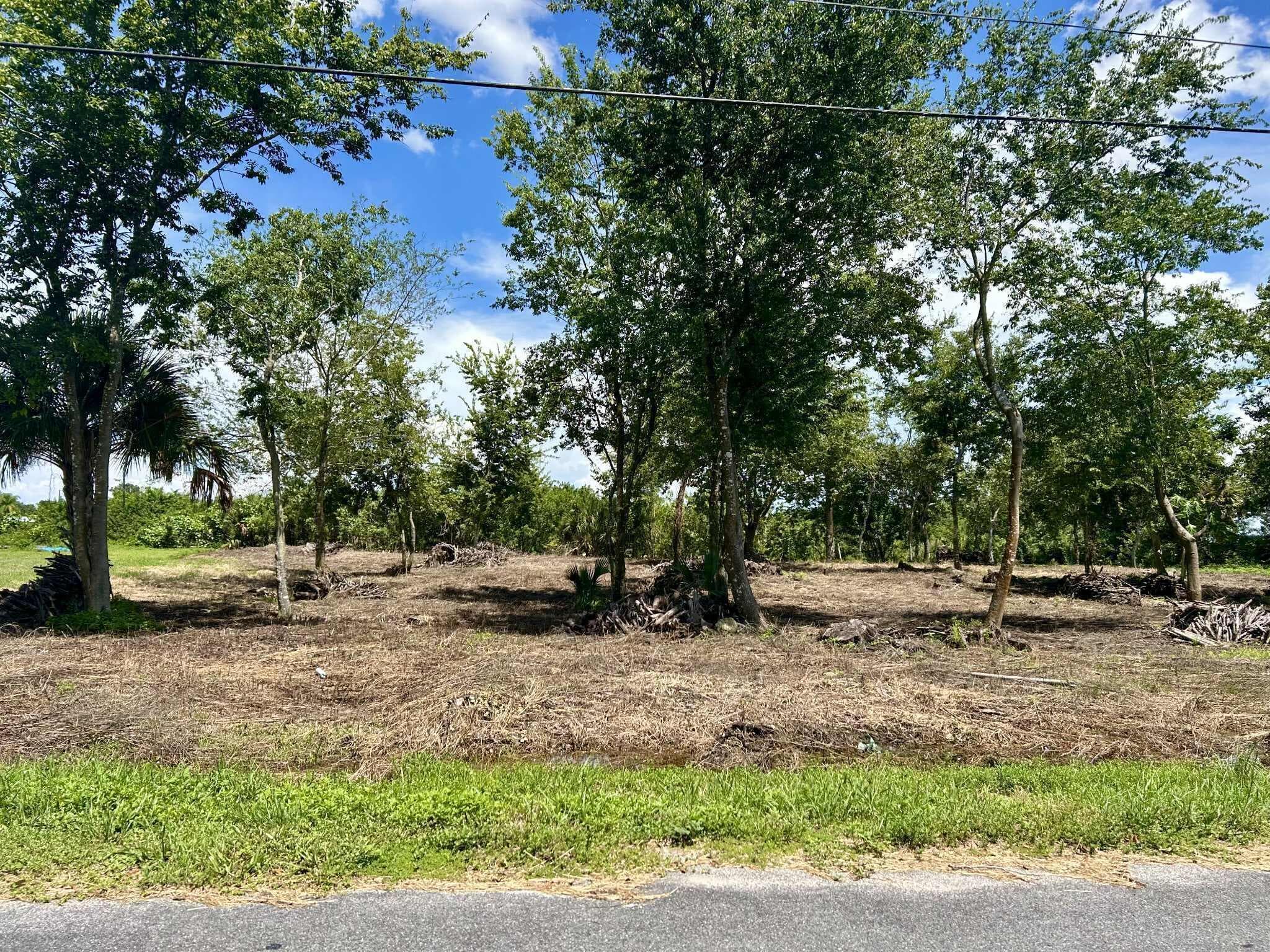 1170 Foxmoor Street, Moore Haven, FL 33471 — photo 1 of 3