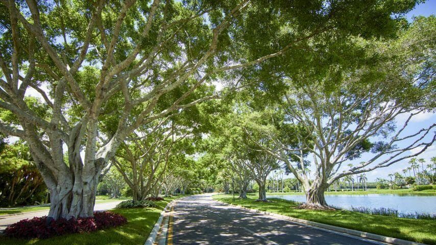 10240 Blue Heron Cove, West Palm Beach, FL 33412 — photo 40 of 40