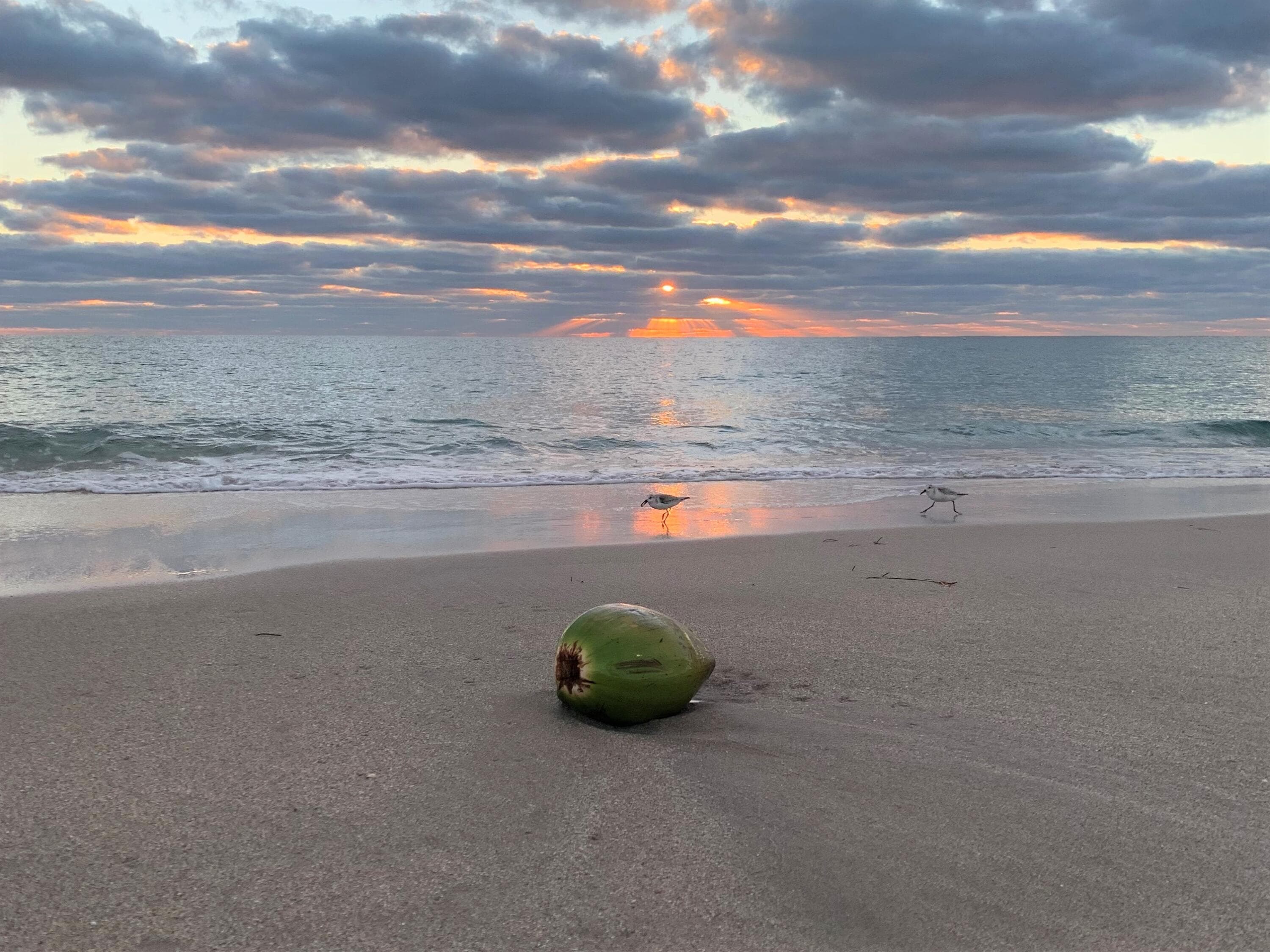 60 Venetian Drive 105n, Delray Beach, FL 33483 — photo 21 of 21