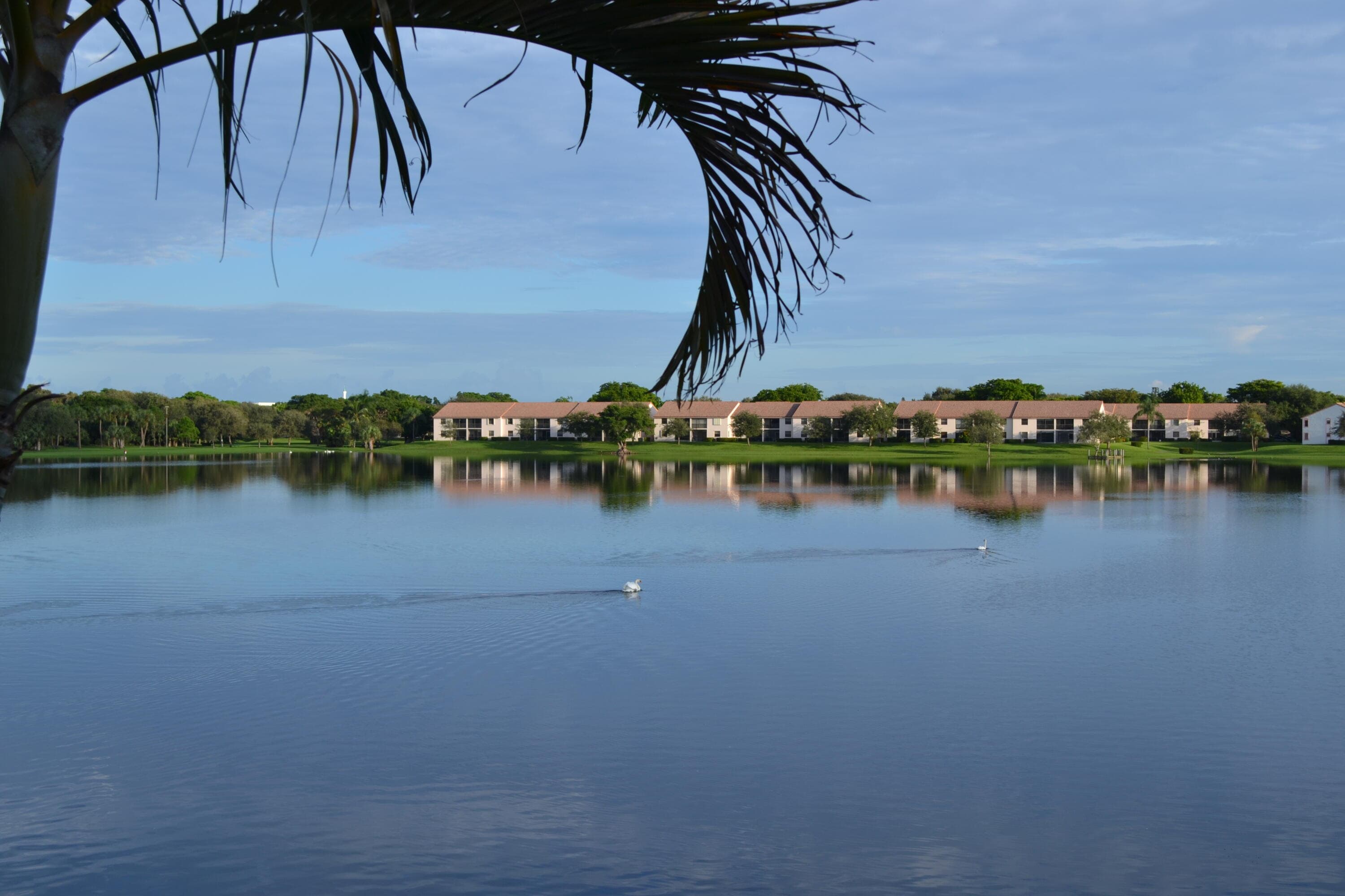 336 Eastwood Terrace, Boca Raton, FL 33431 — photo 30 of 48