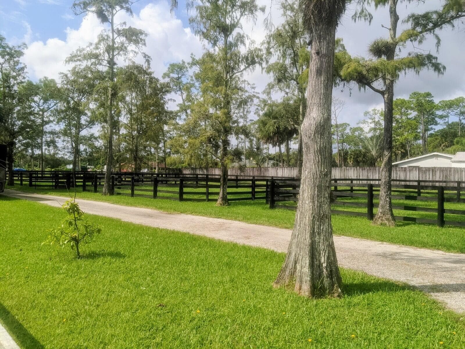 13161 Casey Road - Barn -, Loxahatchee Groves, FL 33470 — photo 18 of 34