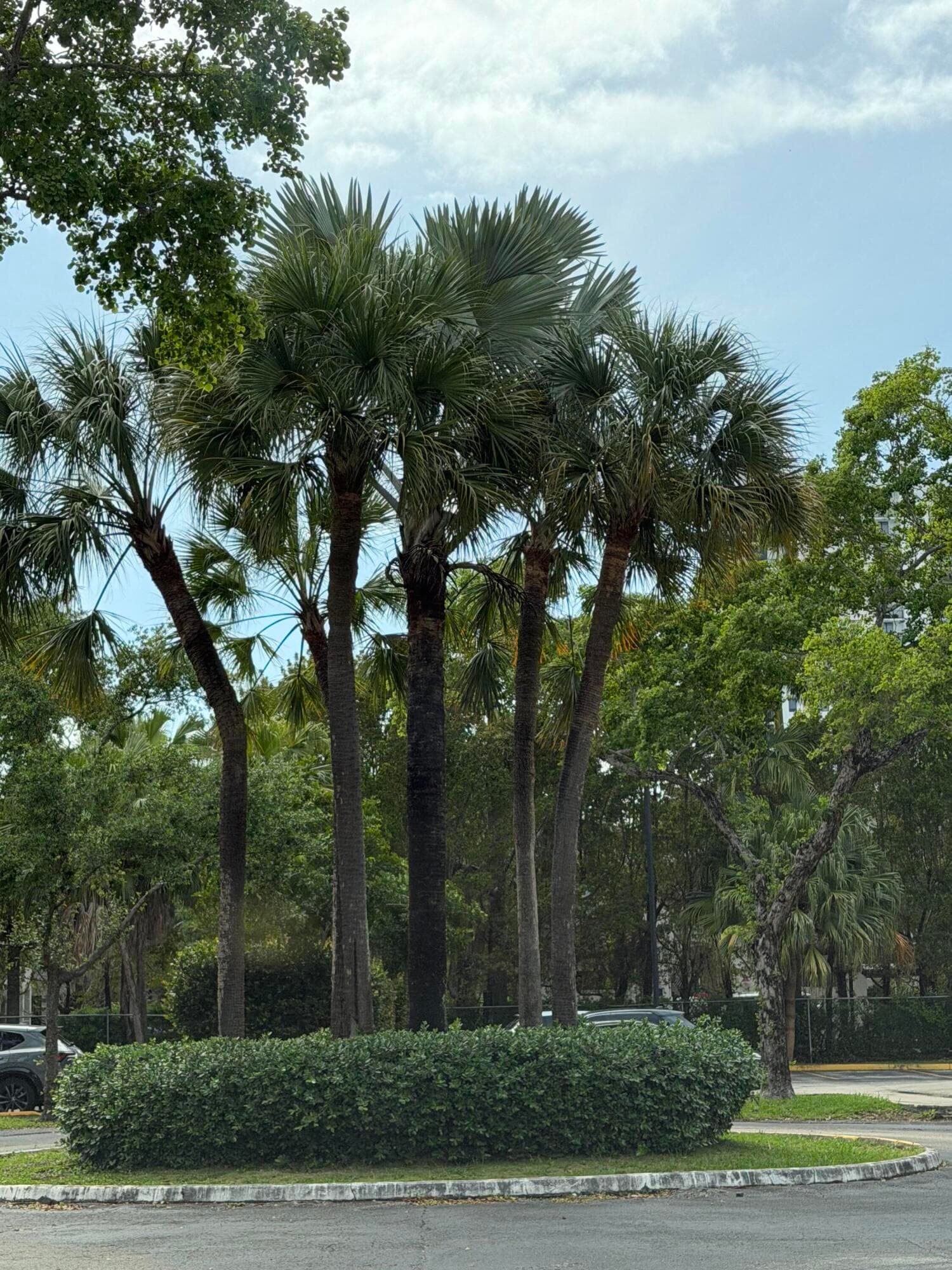 8343 Lake Drive 207, Doral, FL 33166 — photo 25 of 31