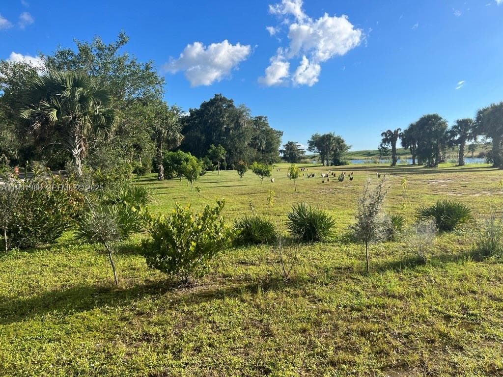 12600 SW Conners Highway, Okeechobee, FL 34974 — photo 4 of 60
