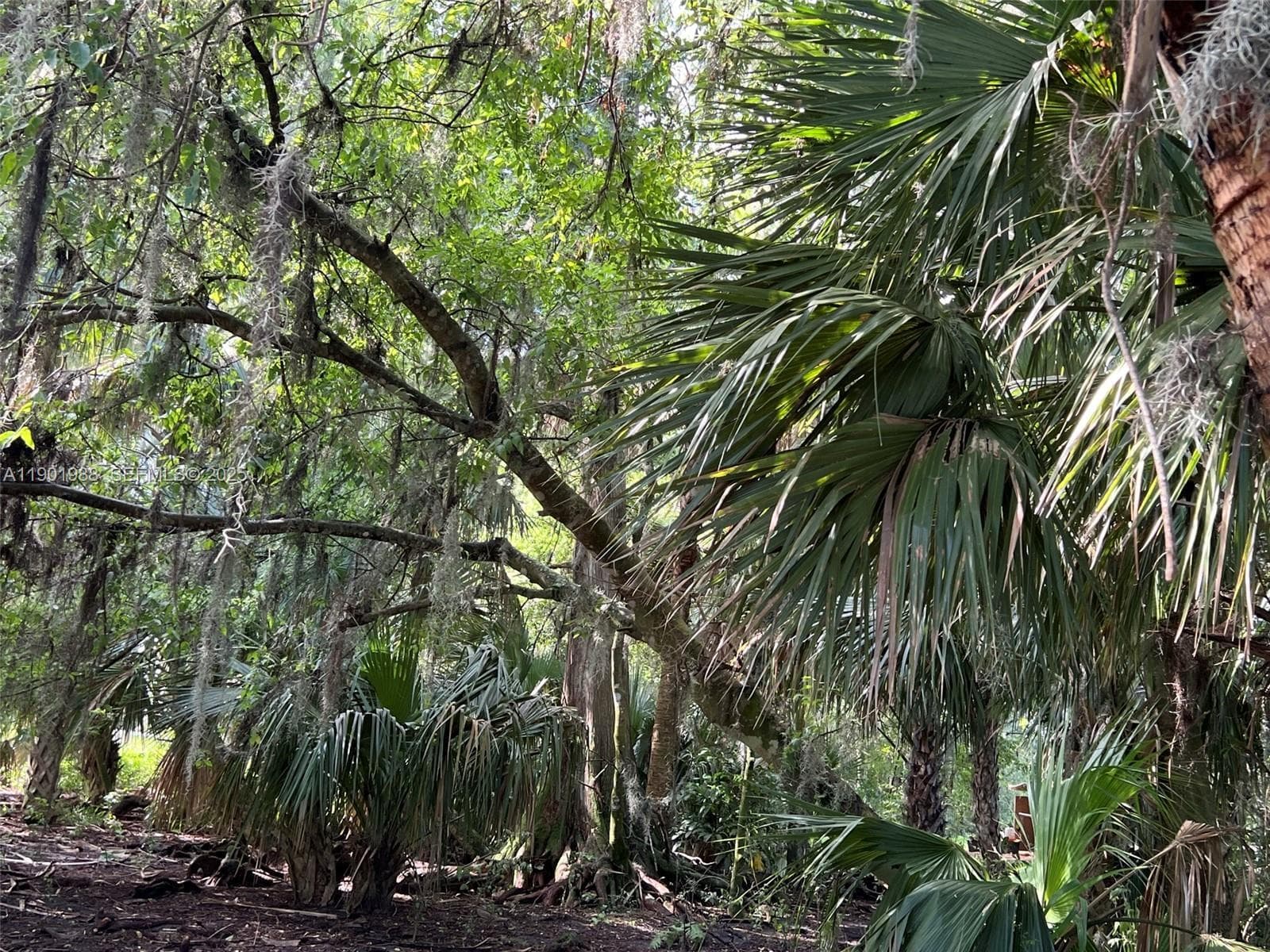 12600 SW Conners Highway, Okeechobee, FL 34974 — photo 29 of 60
