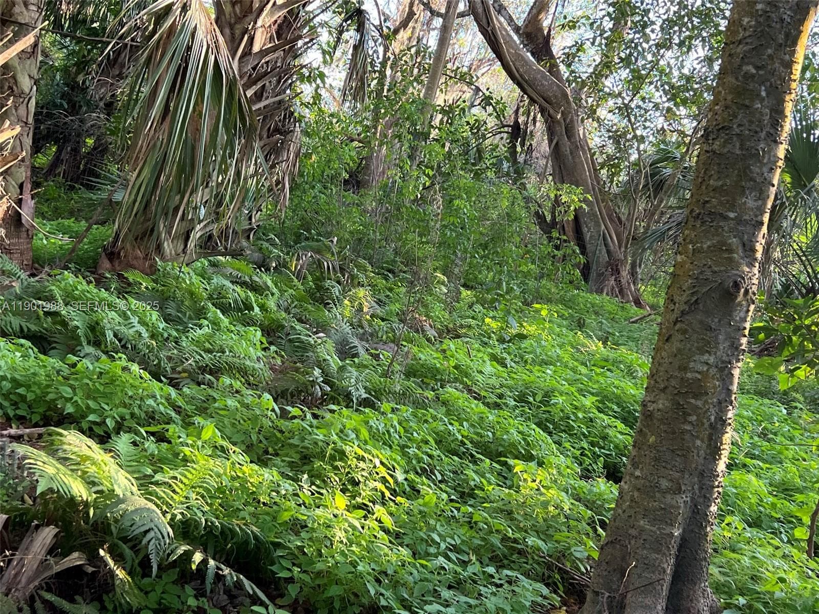 12600 SW Conners Highway, Okeechobee, FL 34974 — photo 32 of 60