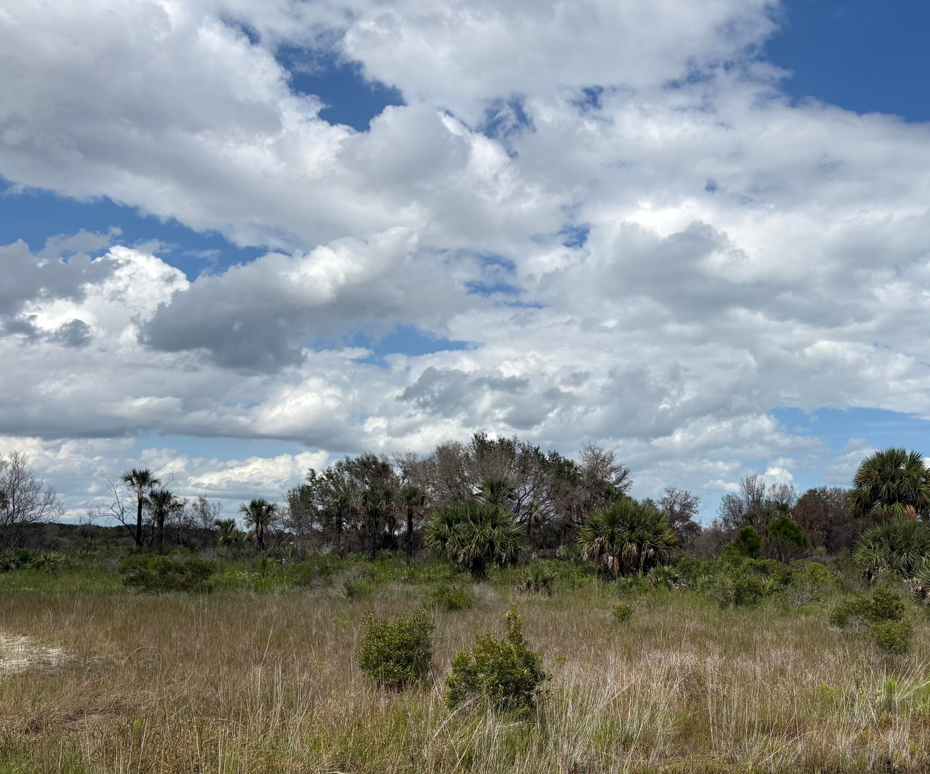 17275 NW 308th Street, Okeechobee, FL 34972 — photo 1 of 3