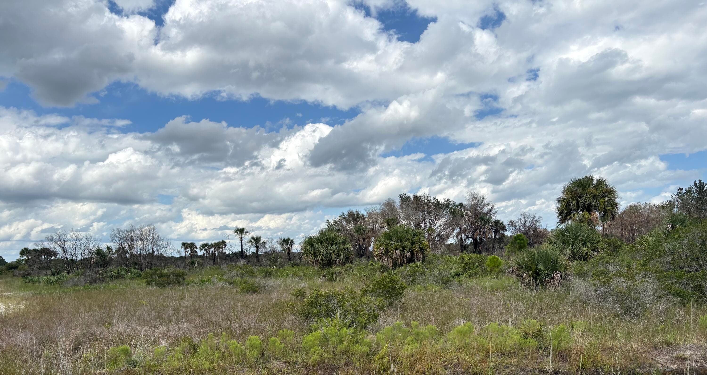 17275 NW 308th Street, Okeechobee, FL 34972 — photo 3 of 3
