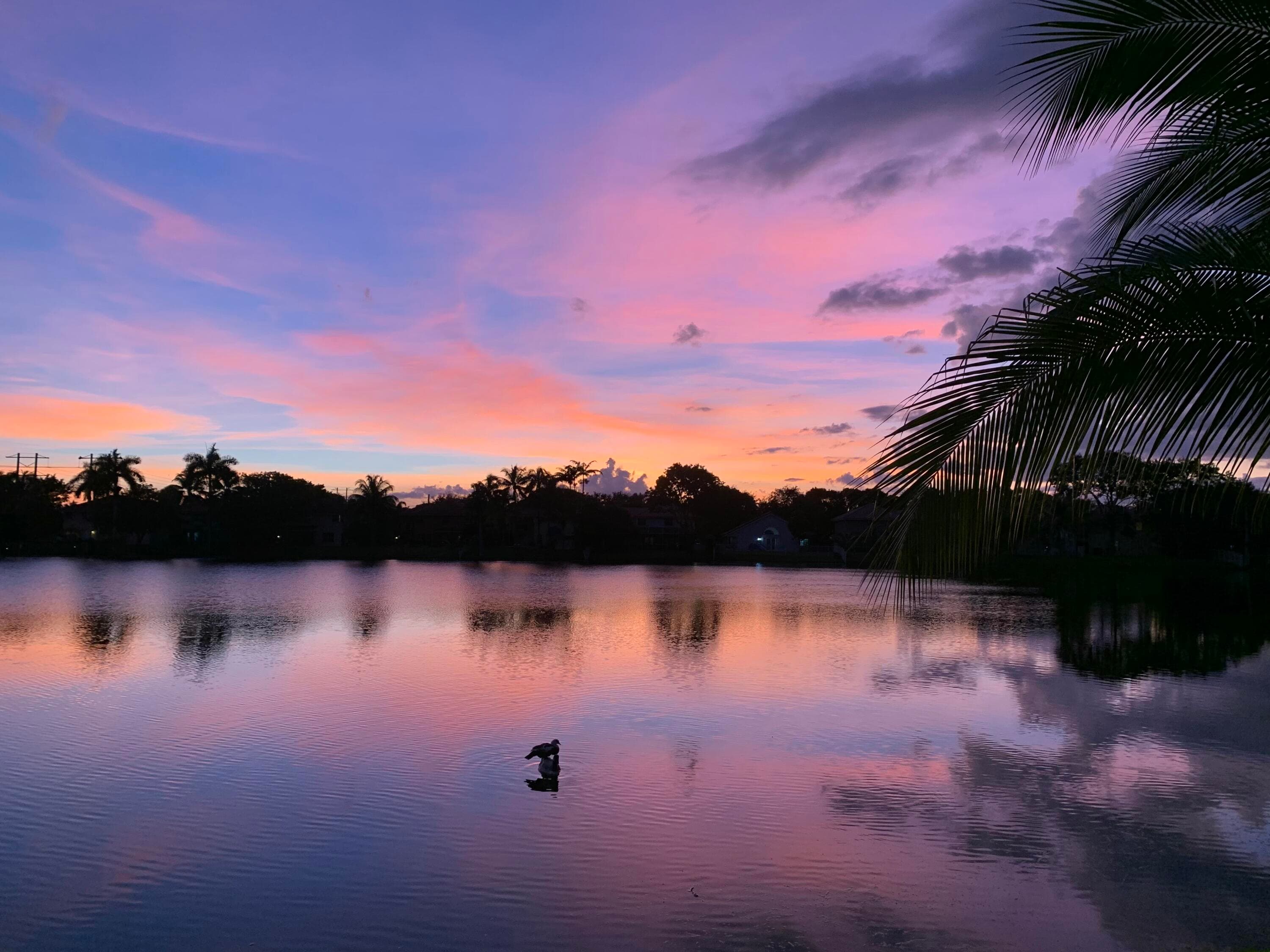 3342 Amsterdam Avenue, Cooper City, FL 33026 — photo 38 of 45